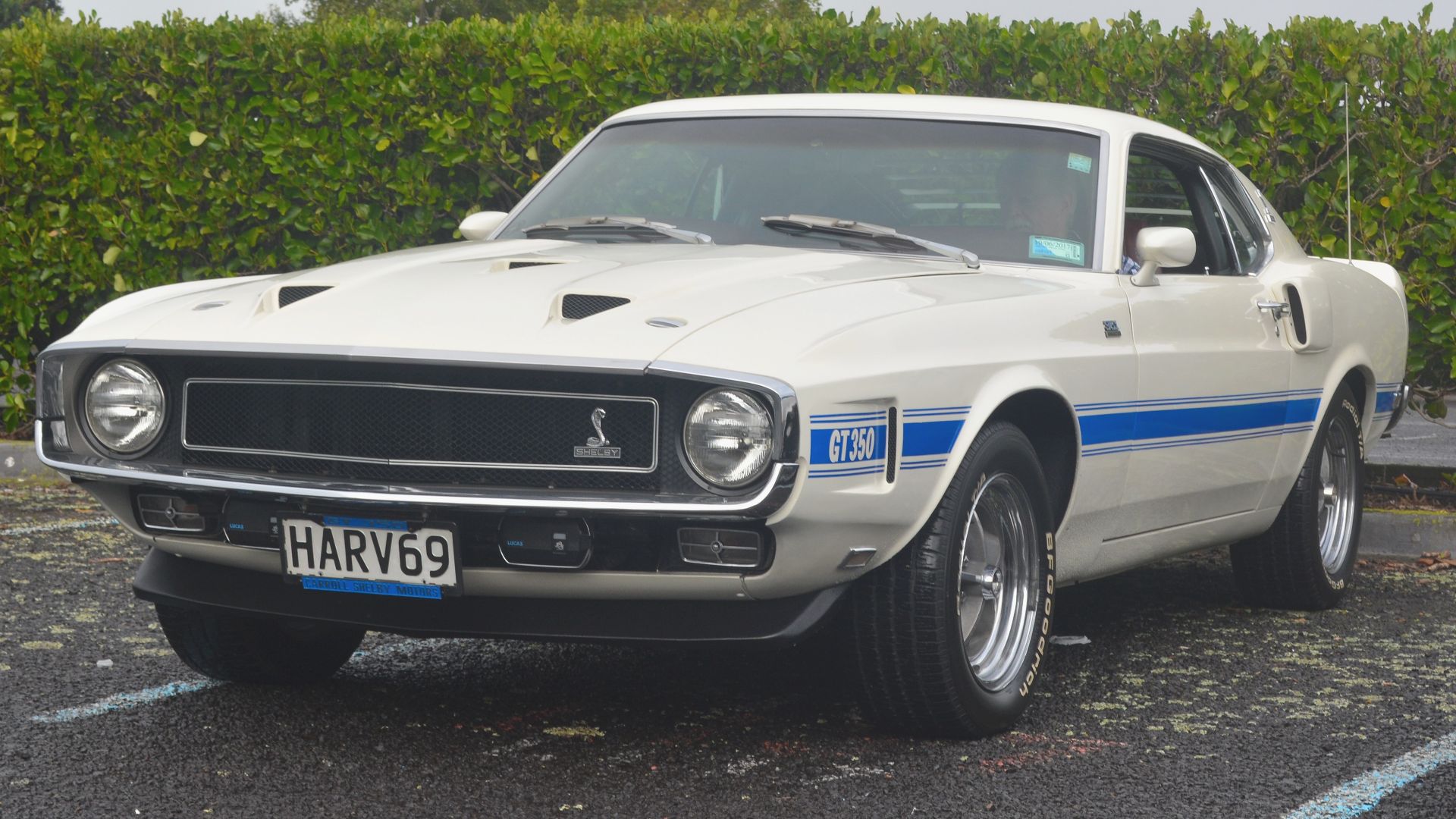 File:1969 Ford Shelby GT350 (34222230511).jpg