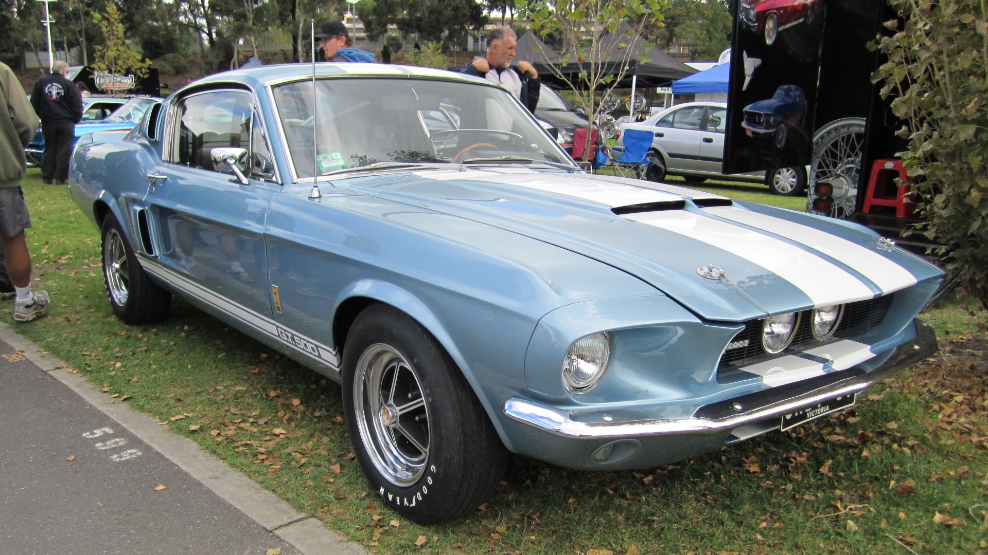 File:Shelby Mustang GT500 1967.jpg