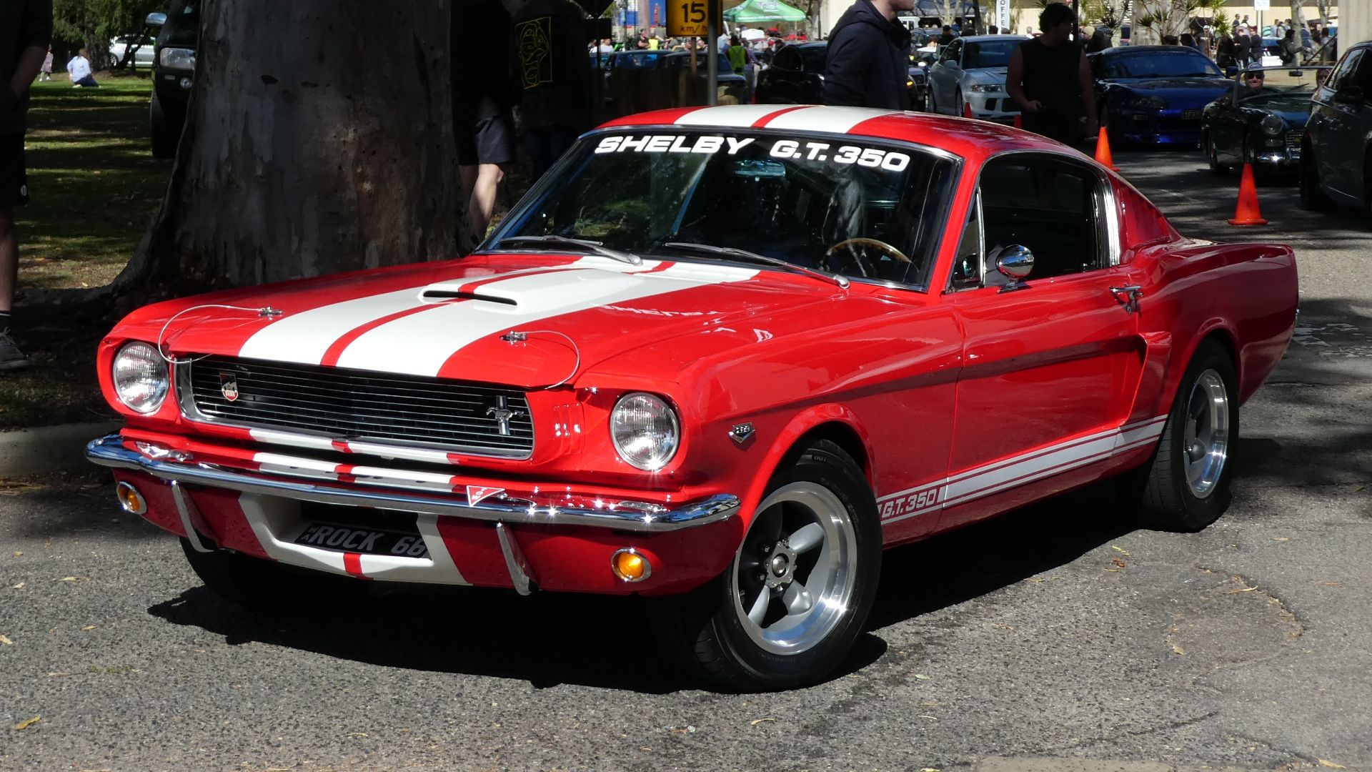 File:1966 Shelby GT350 ROCK66 @ UWA Car Park 3,Crawley.jpg