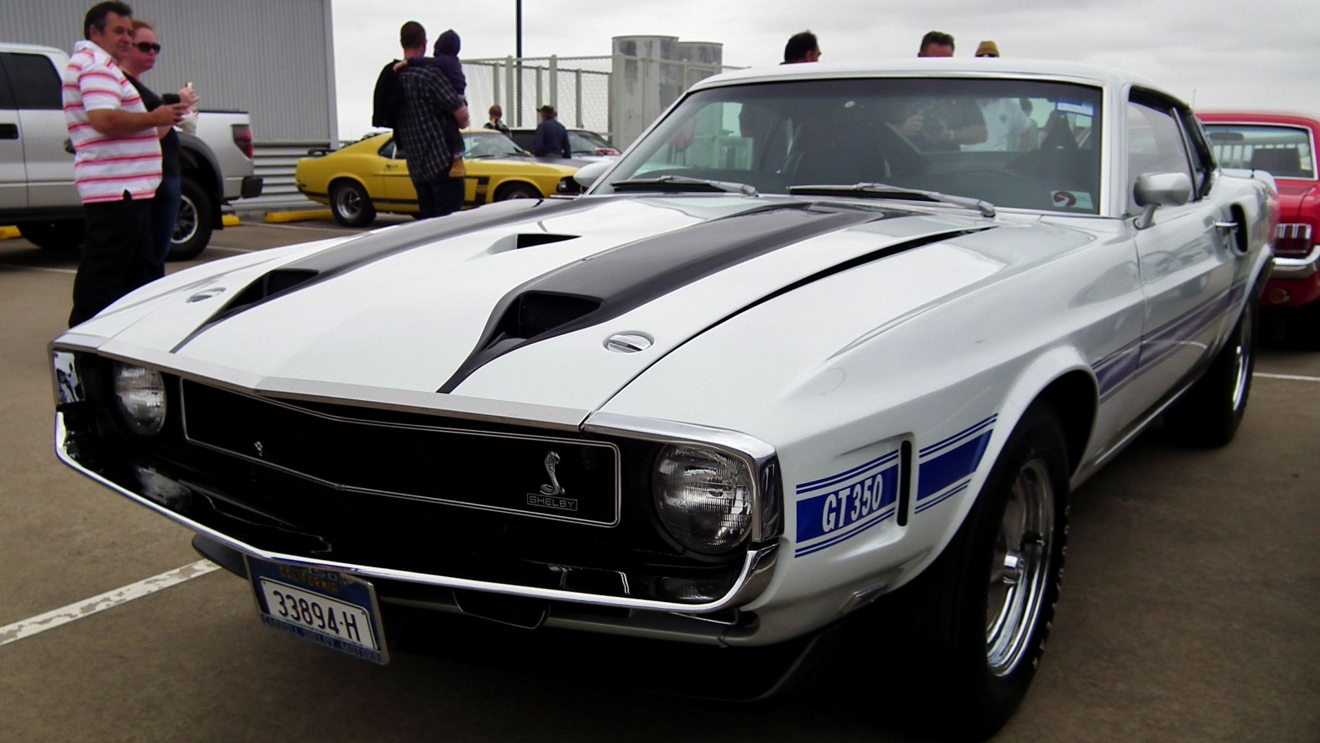 File:1970 Ford Mustang Shelby GT 350 coupe (8453018294).jpg