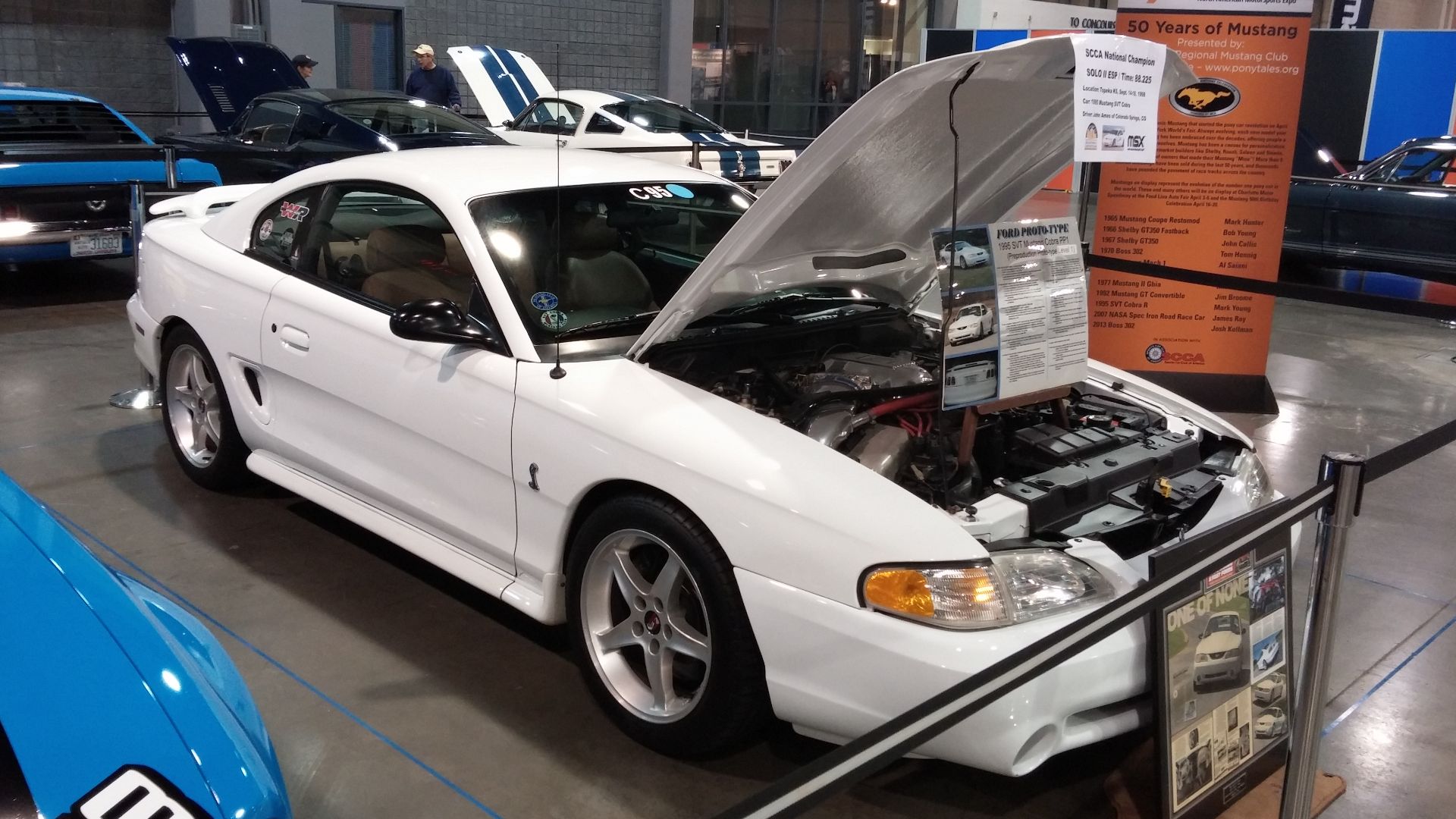 File:50th Anniversary Stable of Mustangs at the SCCA 2014 National Motor Sports Expo.jpg