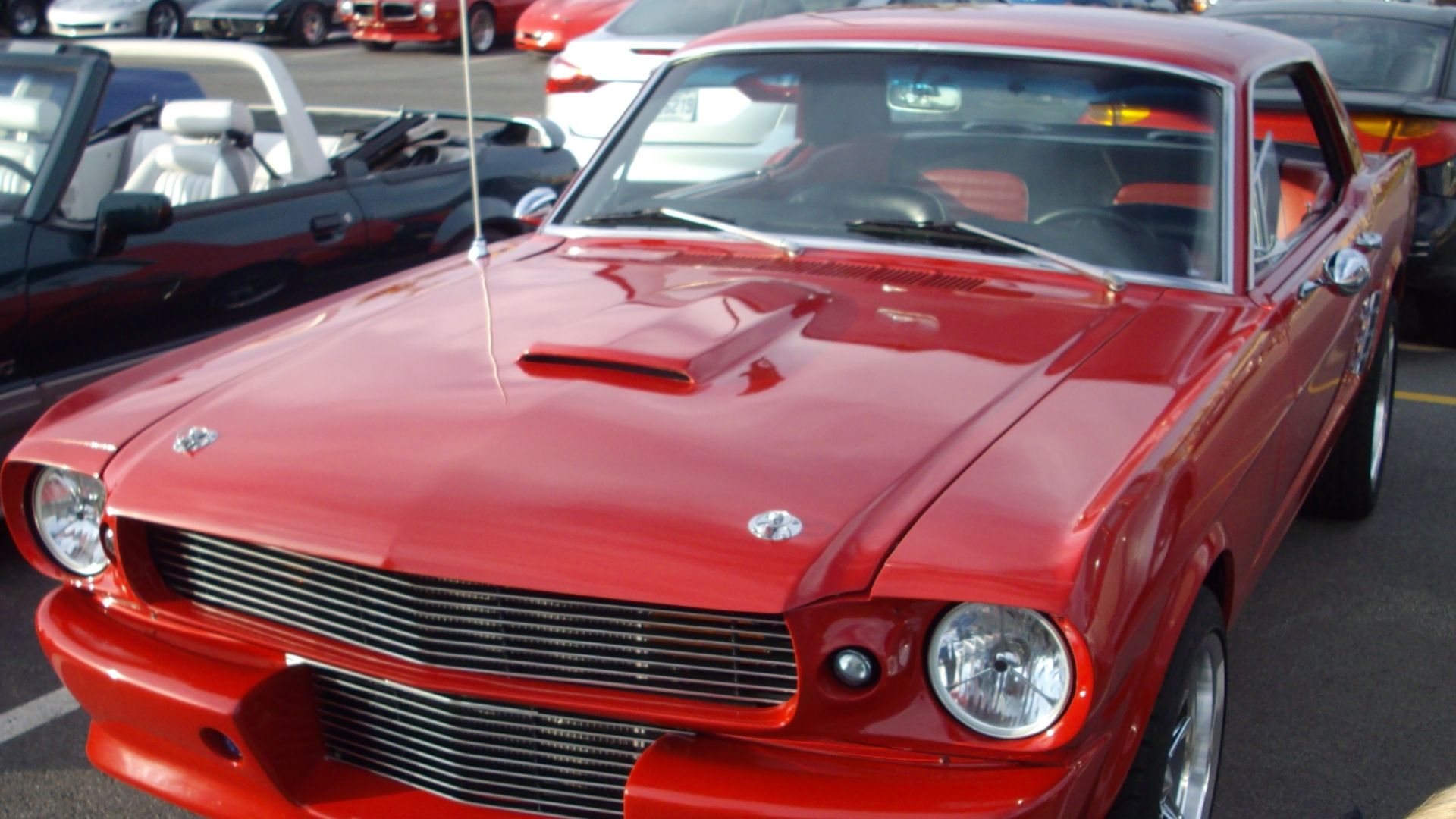 File:Shelby Mustang GT350-R (Les chauds vendredis '12).JPG