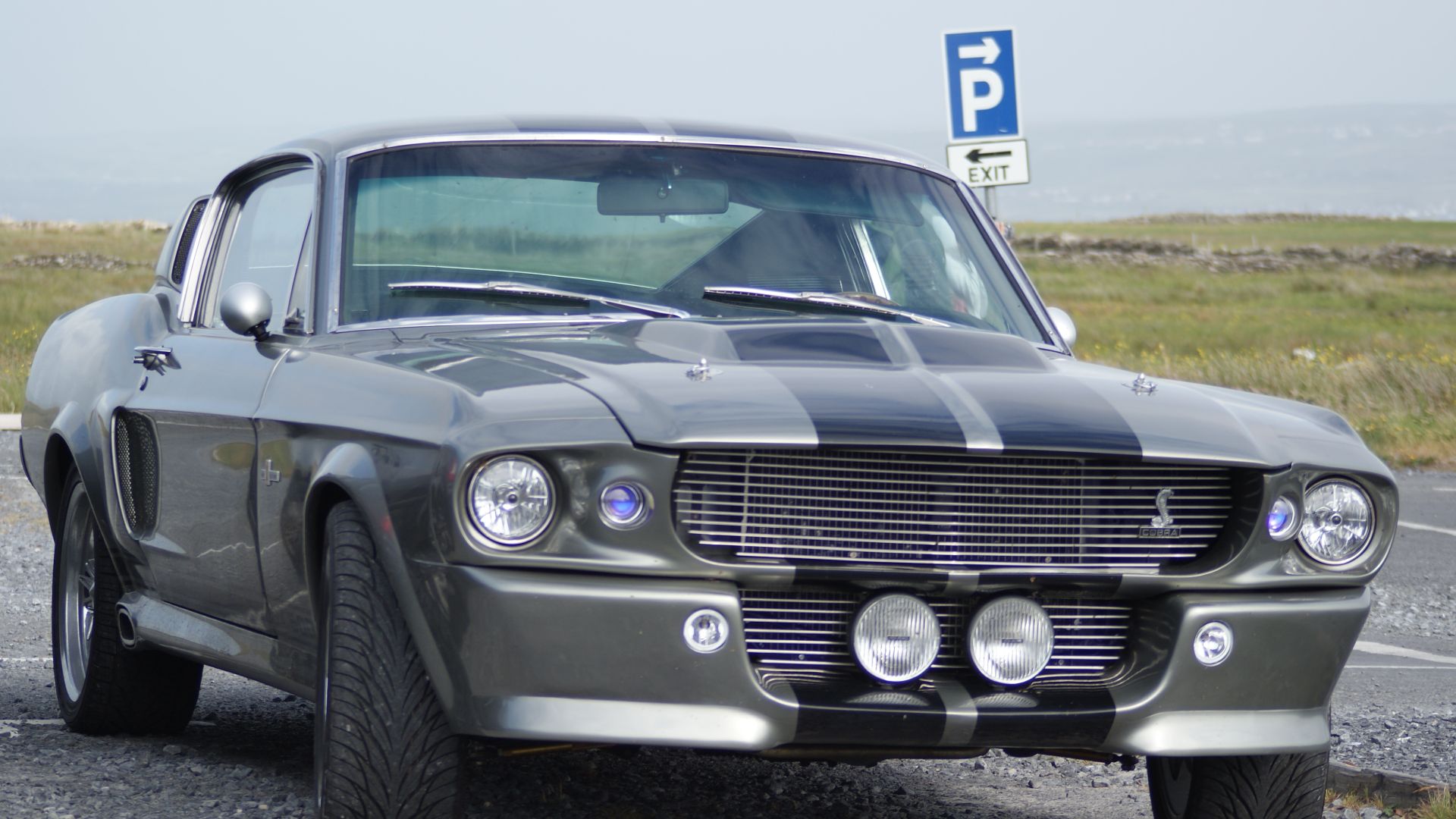 File:Shelby Mustang GT500