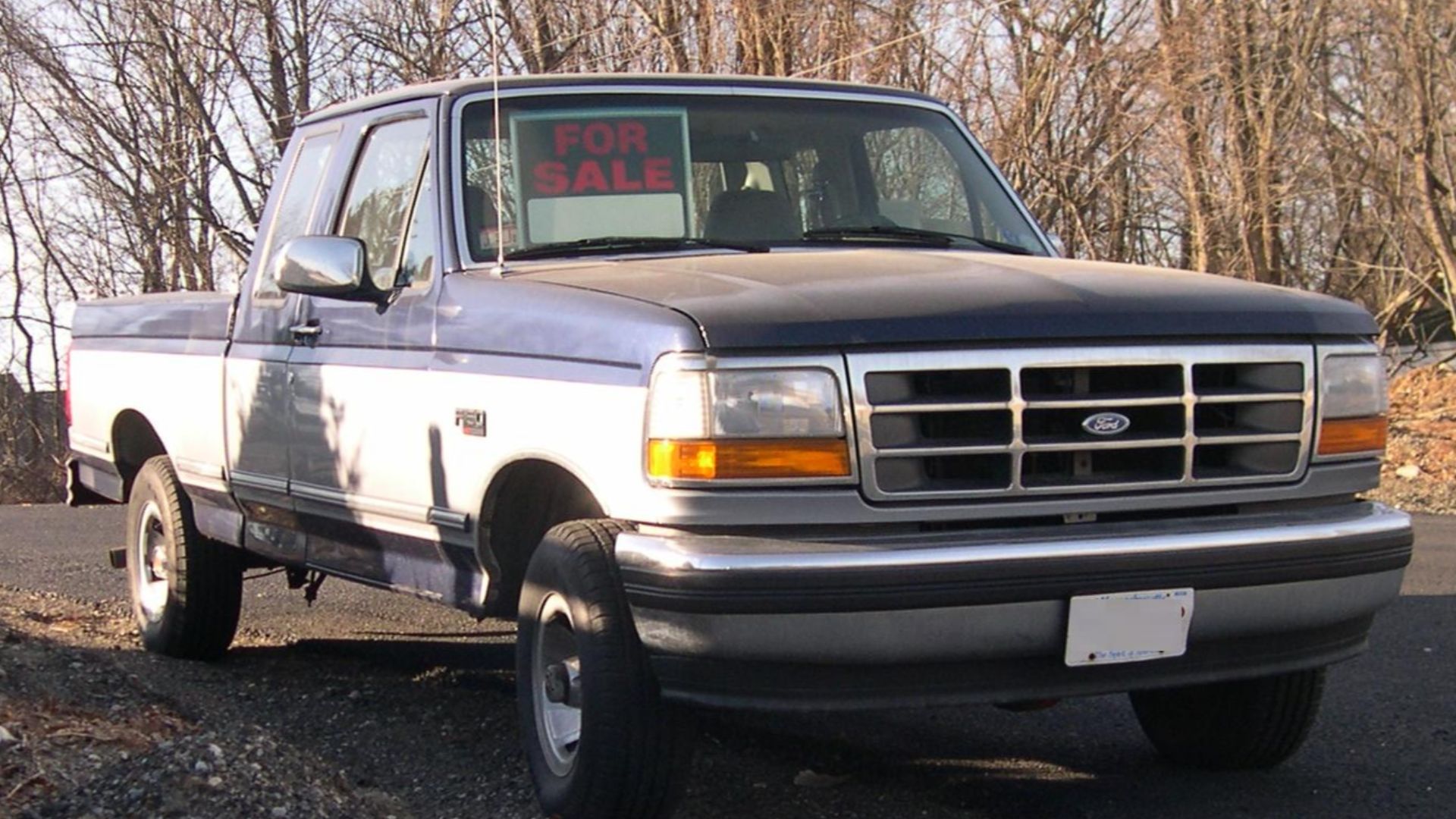 File:1994 Ford F-150.jpg