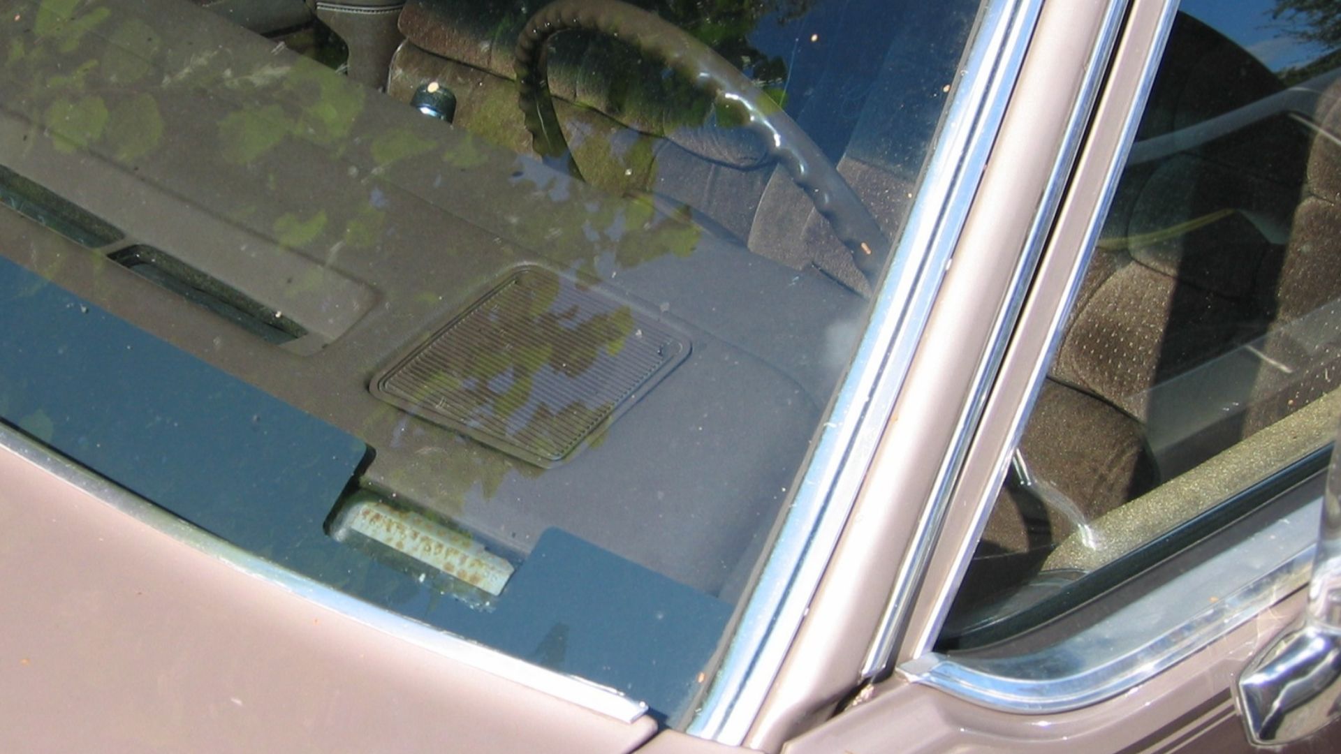 File:VIN - IMG 0467.JPG