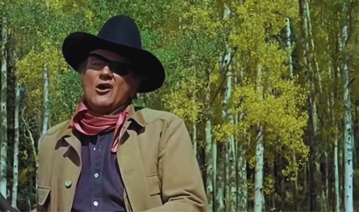 Screenshot from True Grit (1969)