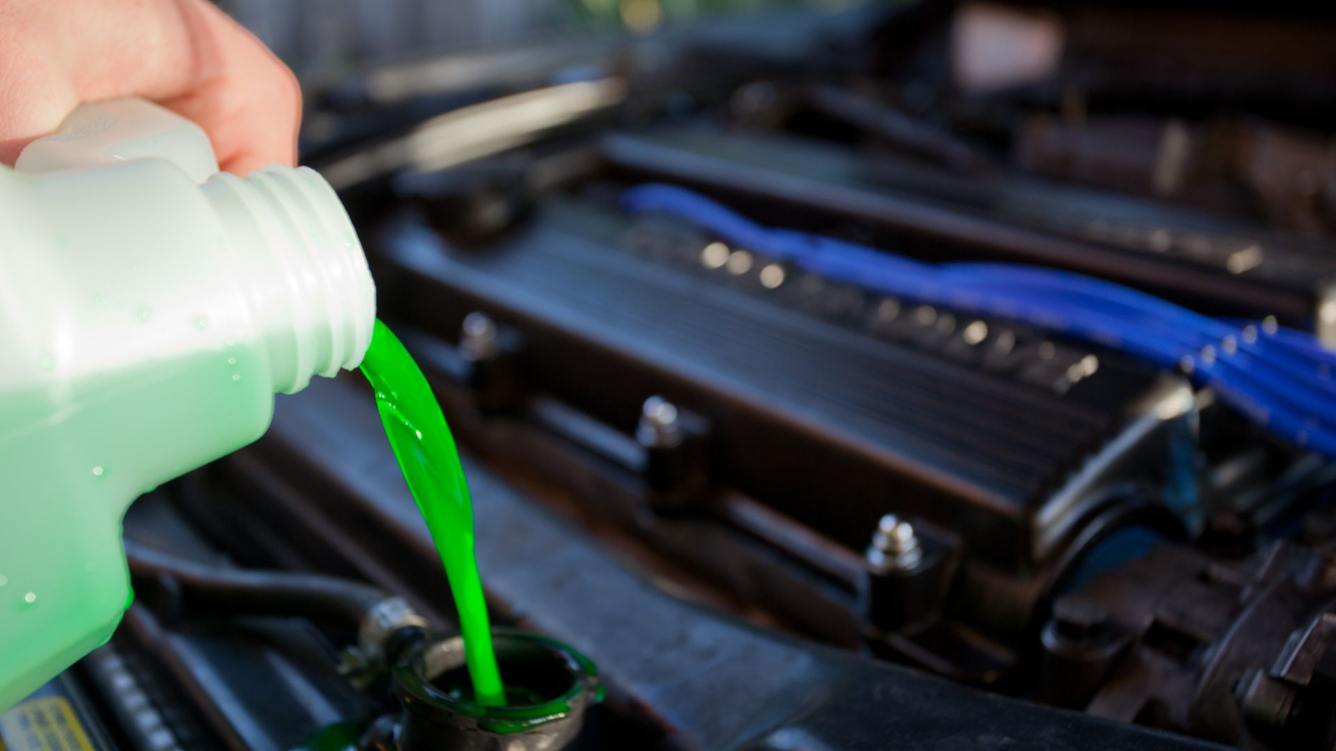 File:Engine coolant.jpg