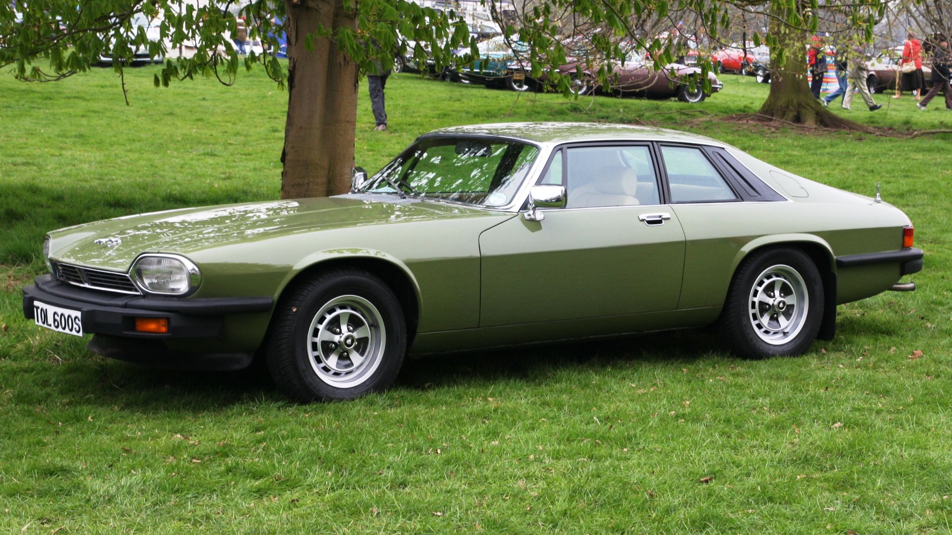 Jaguar XJ-S (1978) at Weston Park
The absence of a chrome insert on the upper part of the front bumper indicates that this model was produced before July 1981, which was the month of the model's first (not very extensive) facelift