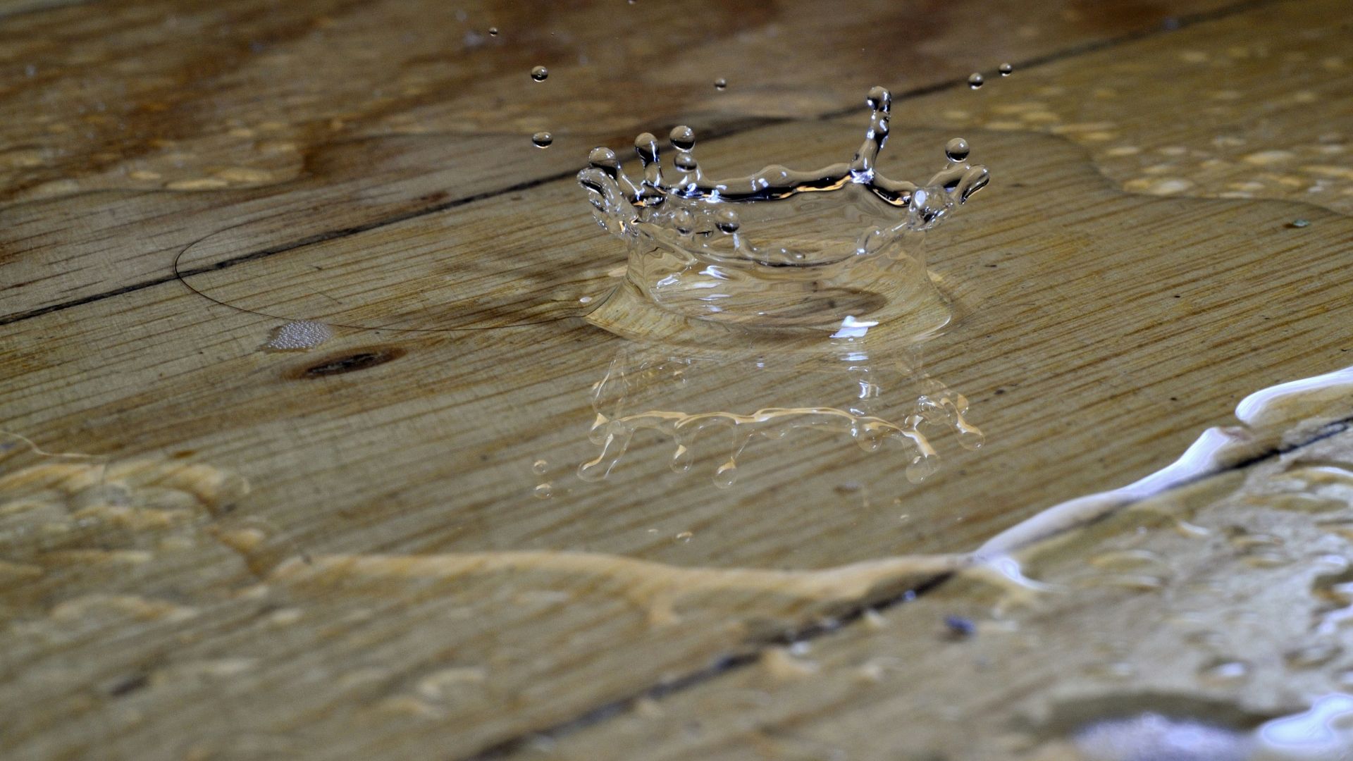 a spider on a wood surface