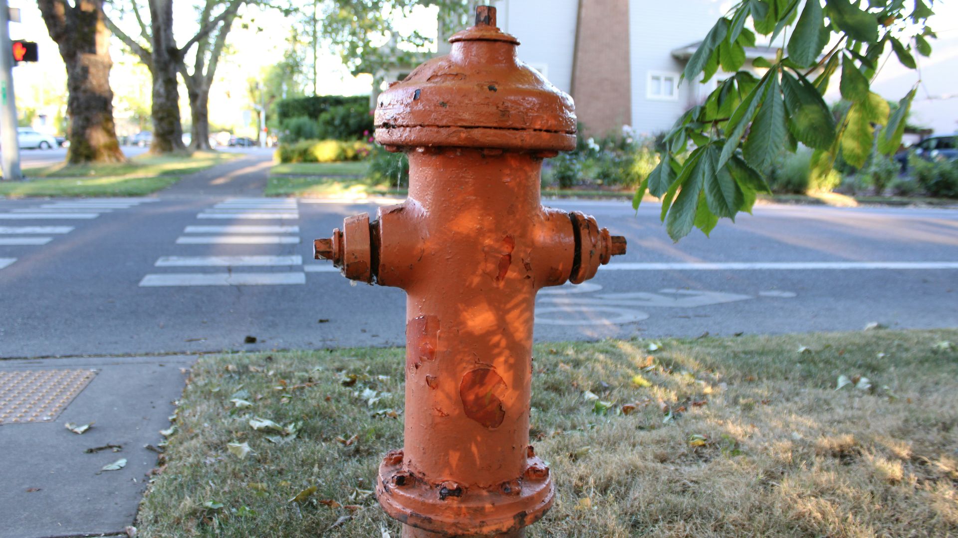 An orange fire hydrant stands beside a crosswalk