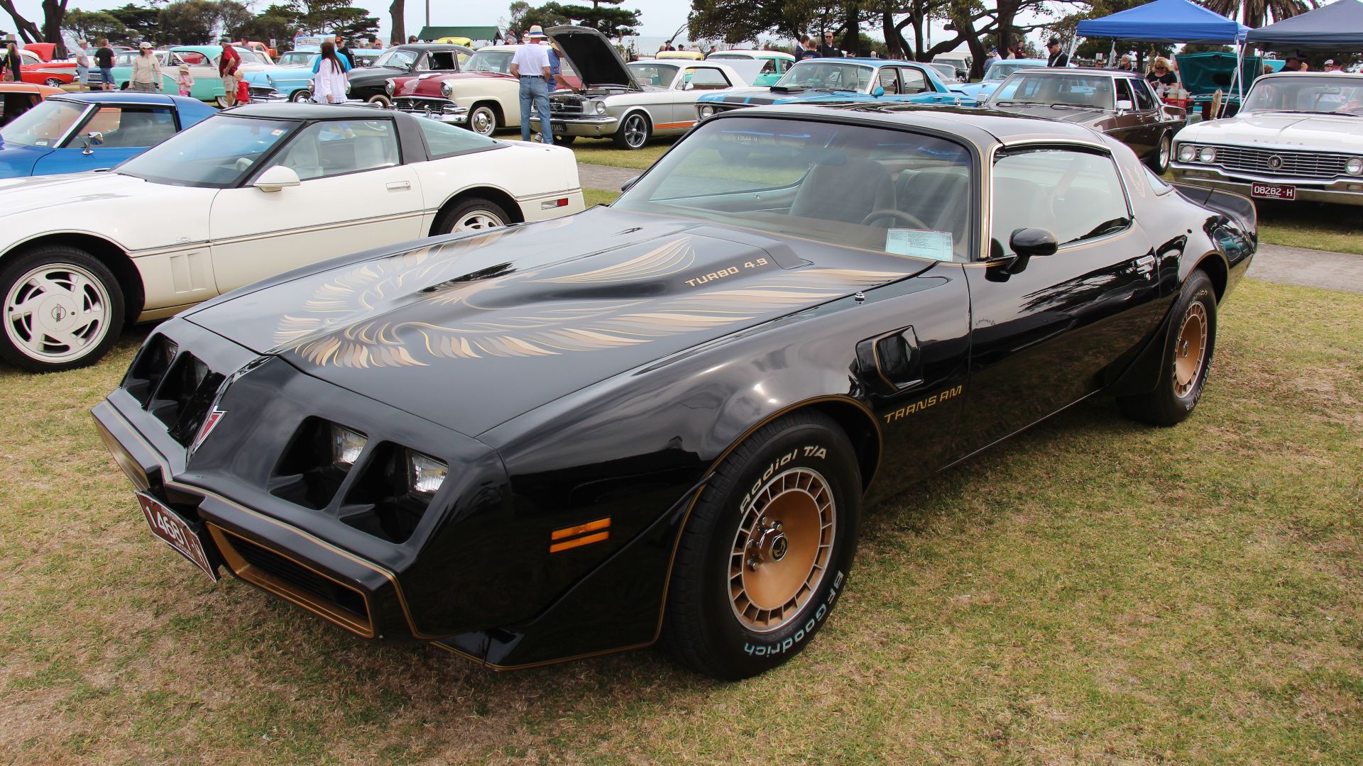 This 2nd generation Firebird was updated in 1977 with a slant nose using 4 rectangular headlights and then refreshed again in 1979.
From 1980, the famous 400 cu in V8 was not available any more.1980 The new 301, first offered in 1979, was now the standar