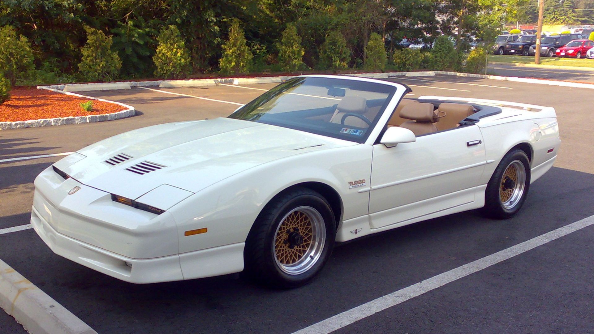1989 Pontiac 20th Anniversary Turbo Trans Am Convertible