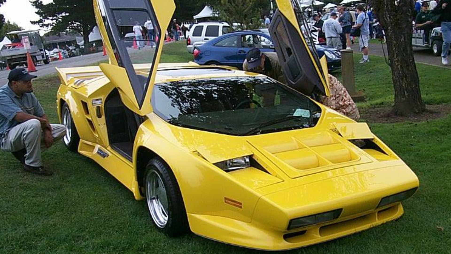 Vector W8