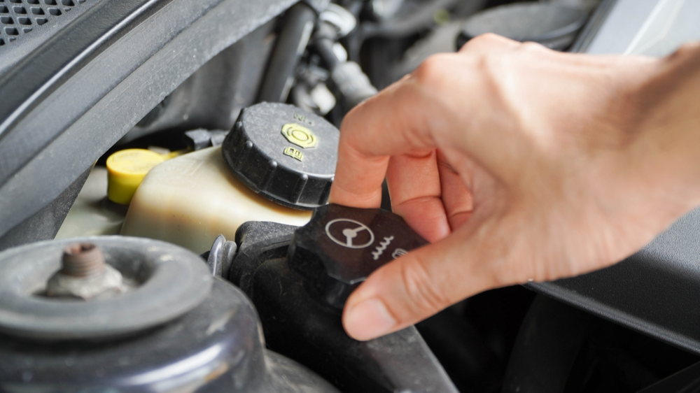 Technician inspect car power steering oil for engine compartment.