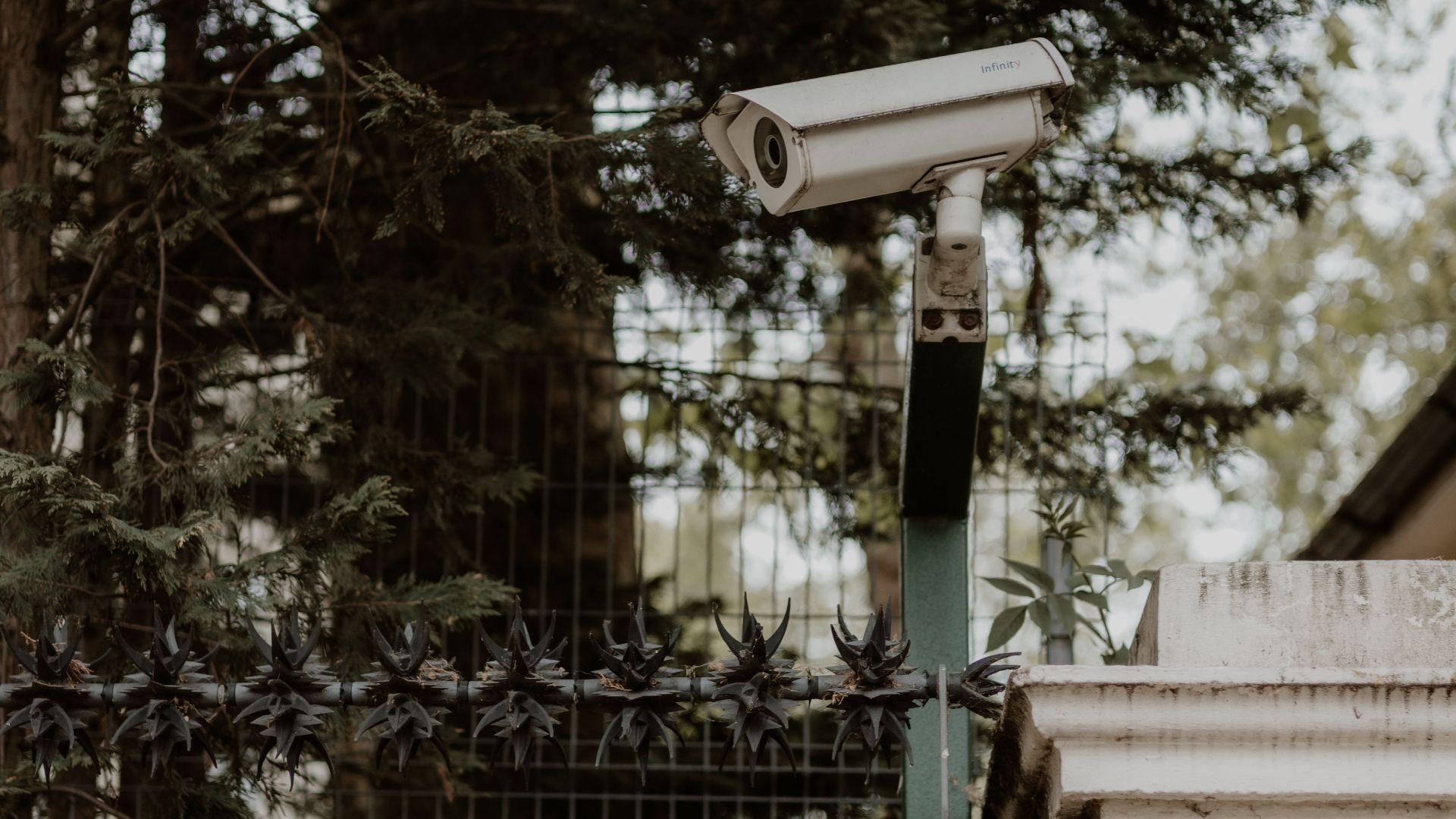 Surveillance camera mounted on a brick wall in London, United Kingdom, amidst greenery.