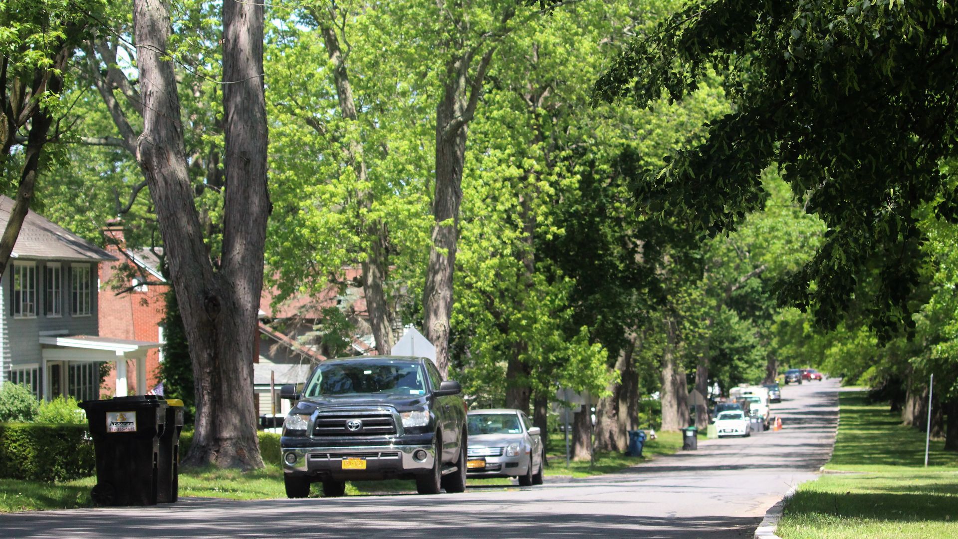 A bevy of suburban residences near Balltown Road in the town of Niskayuna, New York, June 10, 2021.