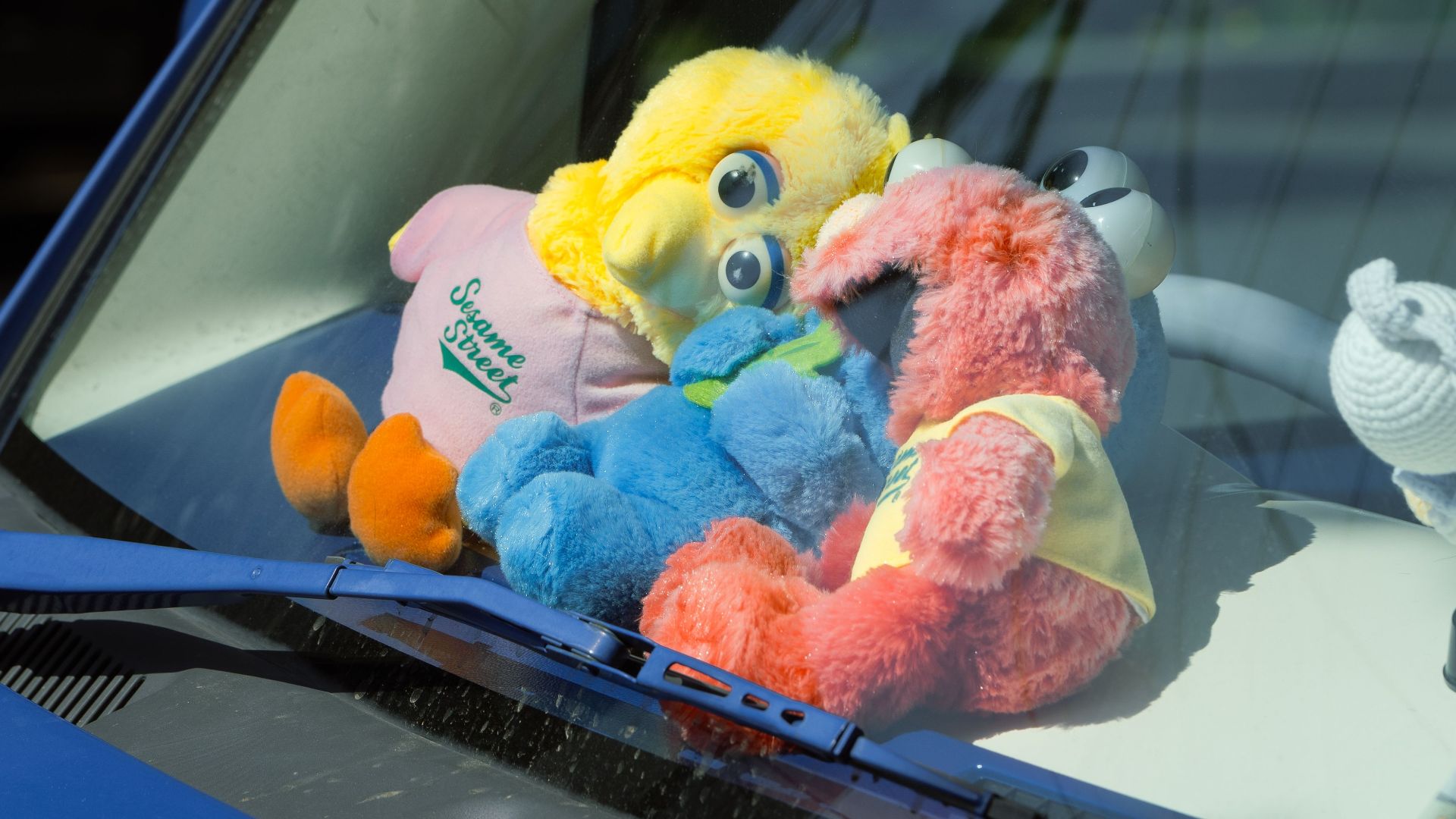 Vibrant plush toys placed on a car dashboard in sunlight, Tokyo, Japan.