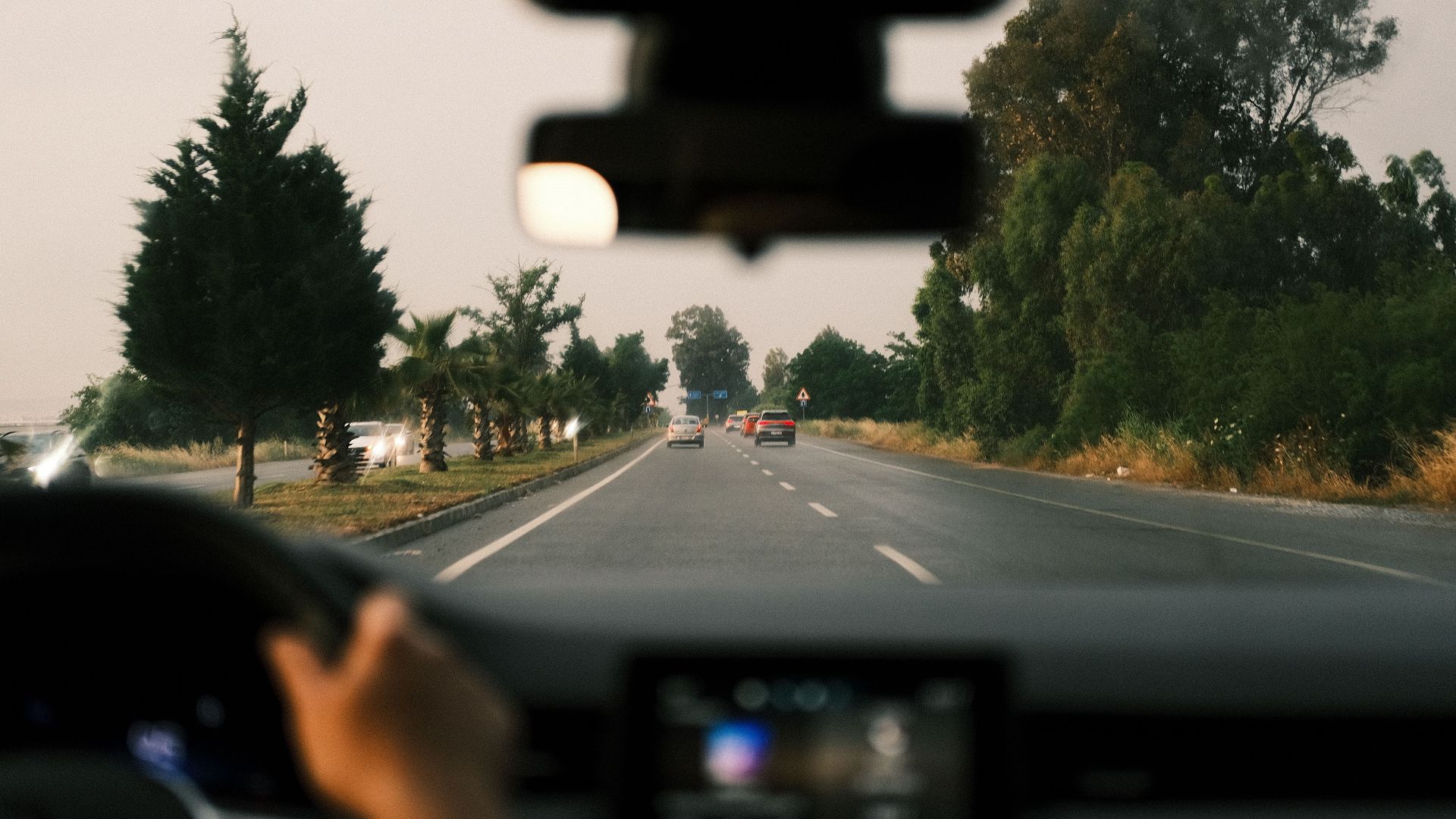 View from inside a moving car driving down a tree-lined open road at dusk.