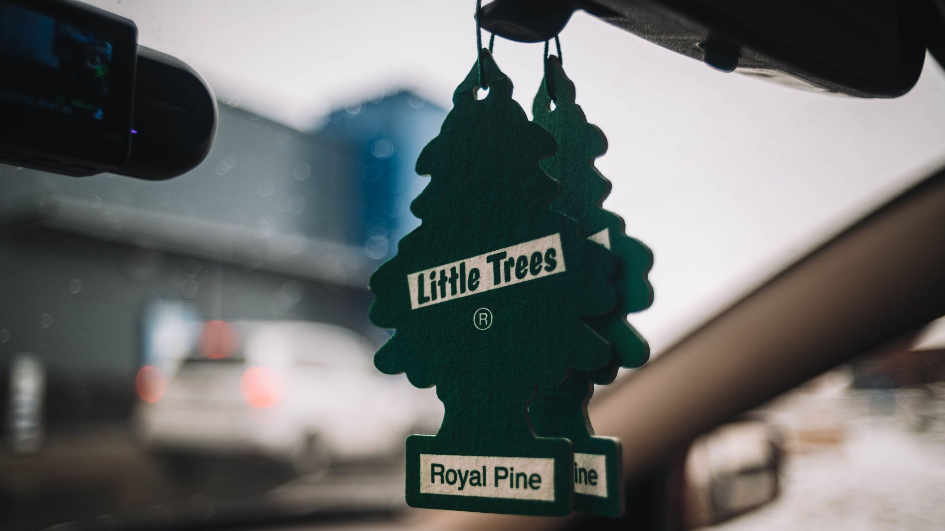 Green tree-shaped air freshener hanging from car mirror, depicting 'Royal Pine' scent.