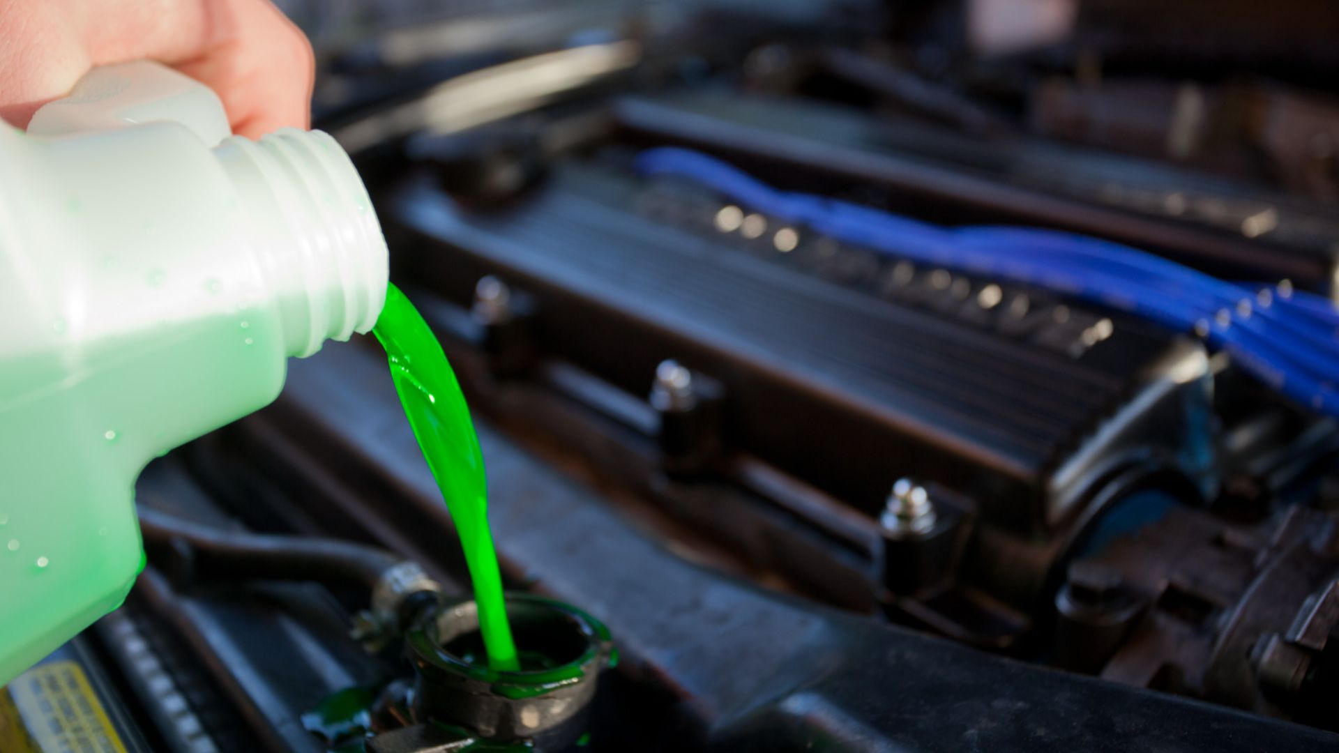 Engine coolant being poured into the radiator of a car. Taken in Melbourne, Victoria in July 2009
