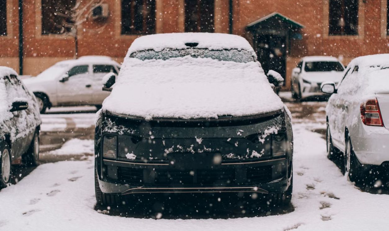 Snow (11)