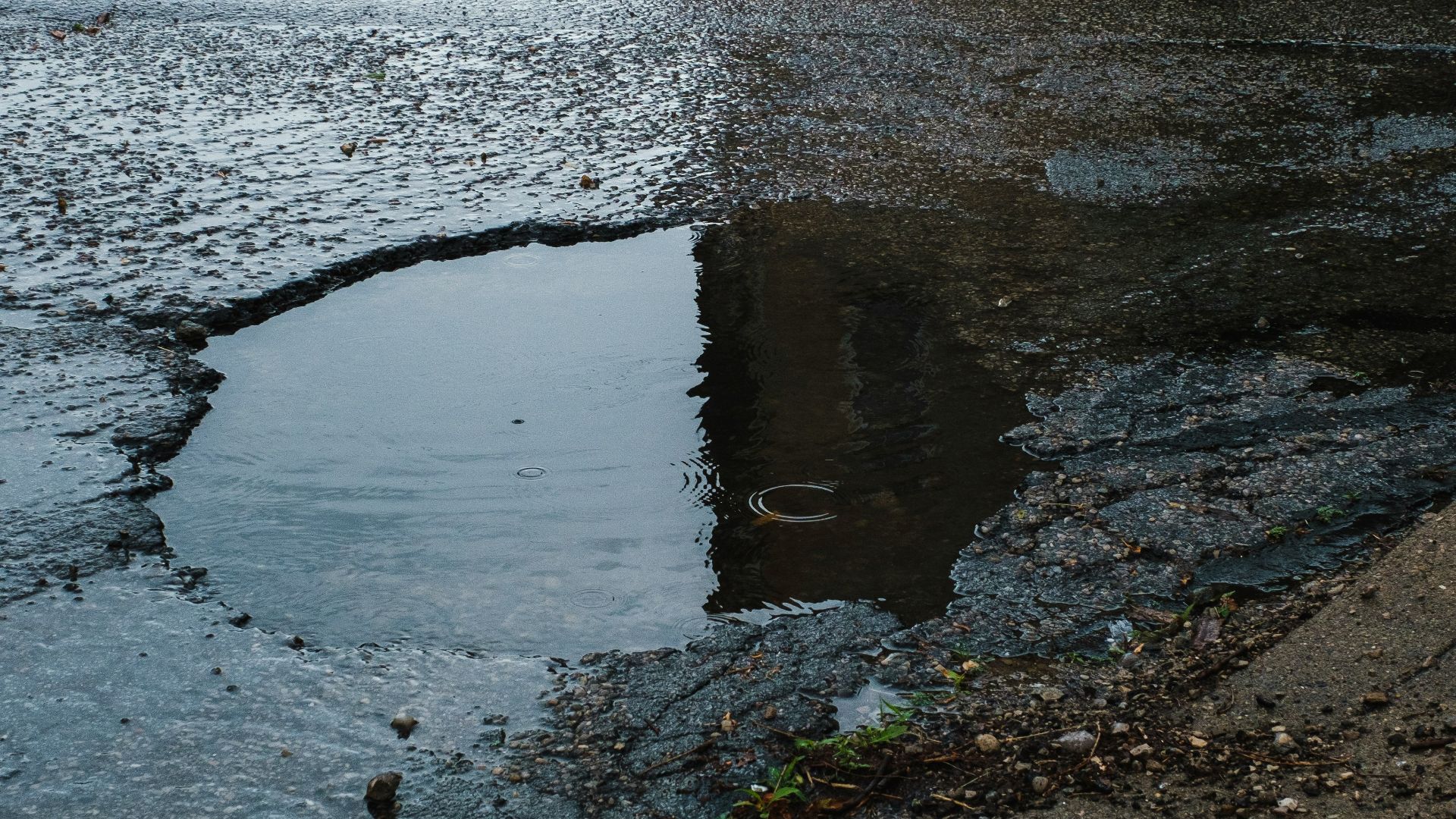 wet road close-up photography