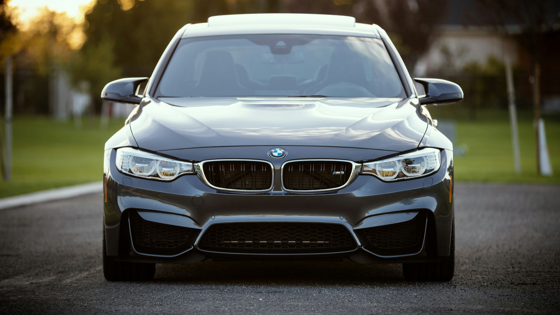 black BMW car surrounded by grass field