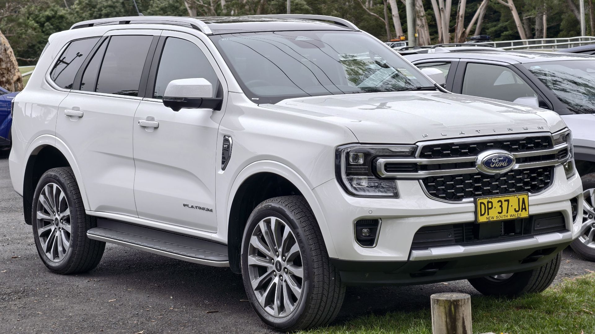 Ford Everest 3.0 V6 Turbo Diesel 4WD Platinum (III)