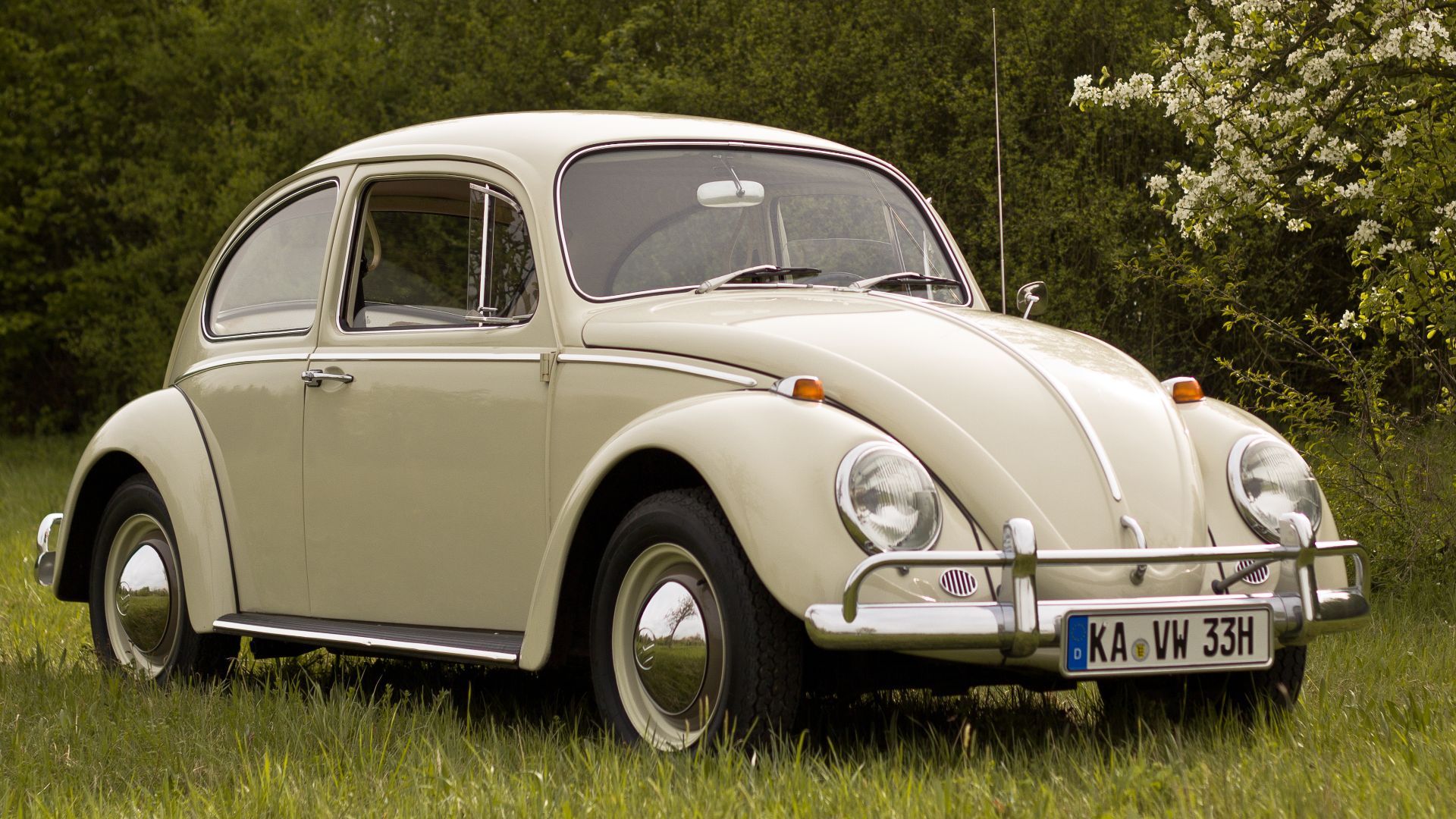 VW Käfer Baujahr 1966 mit originalen Export-Stoßstangen