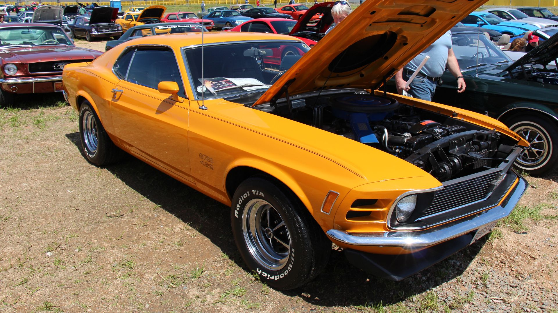 Grabber Orange
The 1970 Mustang was a facelift of the 69, the headlights were moved inside the grille and imitation vents added to the outside where the 69 headlights were, the rear fender scoops were also gone and taillights revised. It was still availab