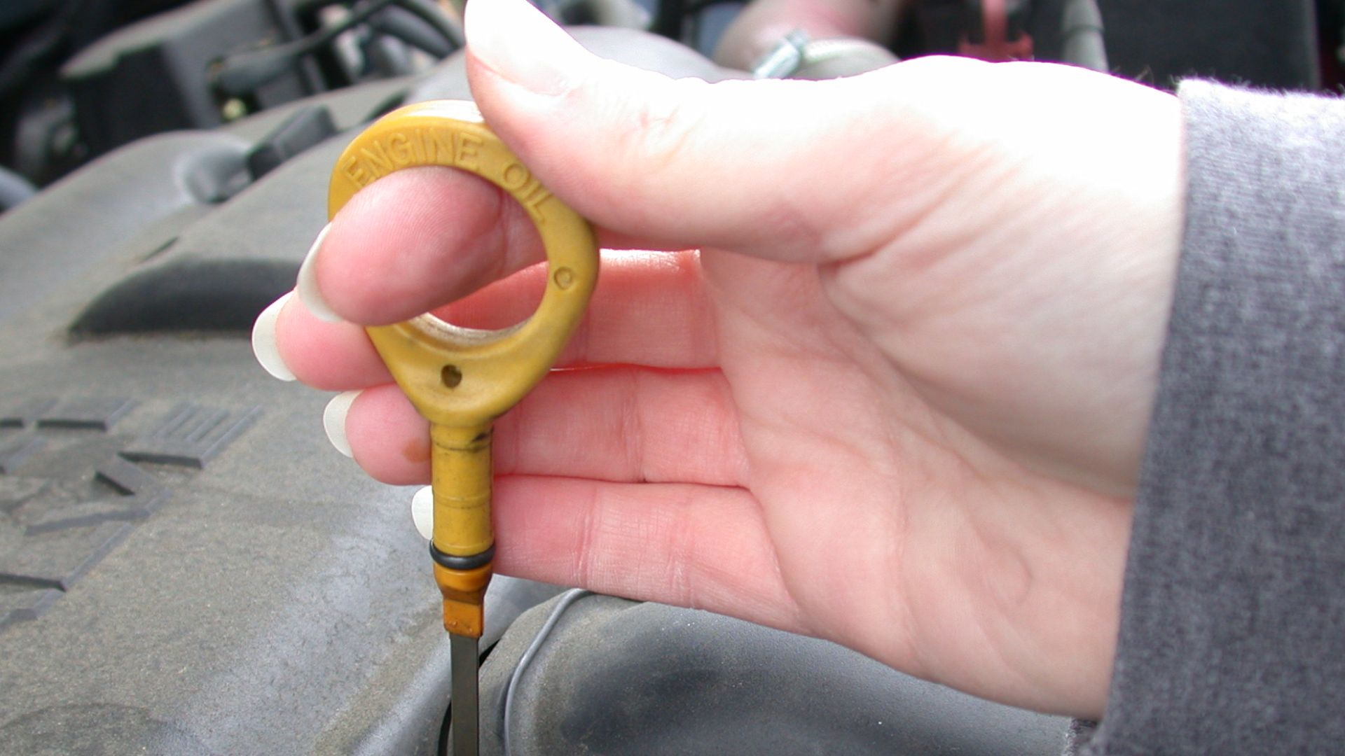 Dipstick for measuring the level of motor oil in an automobile.