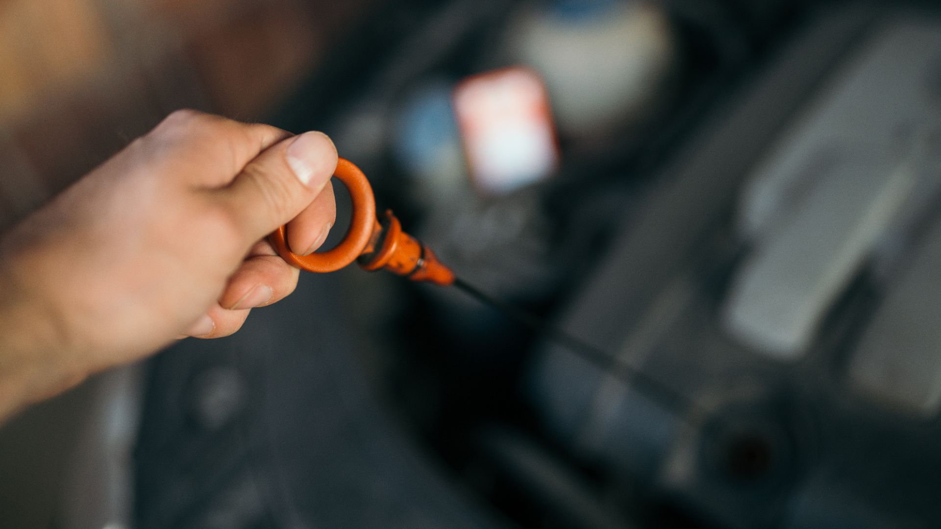 Checking the oil level in a VW Passat b6 car