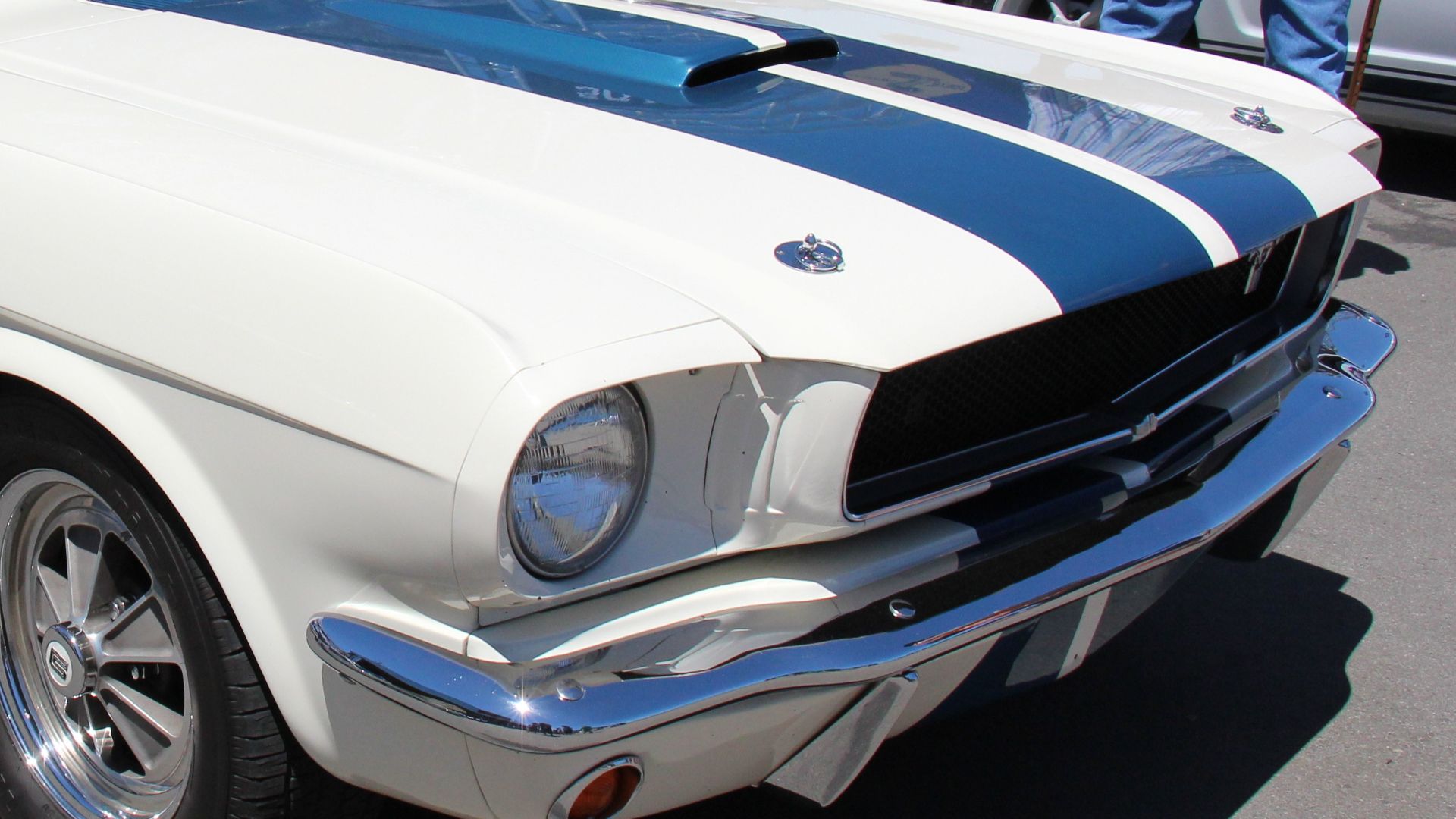 Ford, having seen the success Carroll Shelby had made of the Cobra race car, knew he was the man to make the Mustang a respected race machine. Mustang GT Fastbacks were delivered to Shelby, the back seat was removed, turning the Mustang into a 2 seater 's
