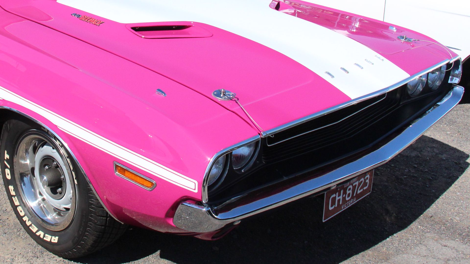 Panther Pink
The Challenger, along with the slightly smaller Plymouth Barracuda were built on Chryslers E body pony car platform.
The 1970 Challenger was available in hardtop and convertible forms, and available in: base, R/T (Road/Track), and T/A (Tran