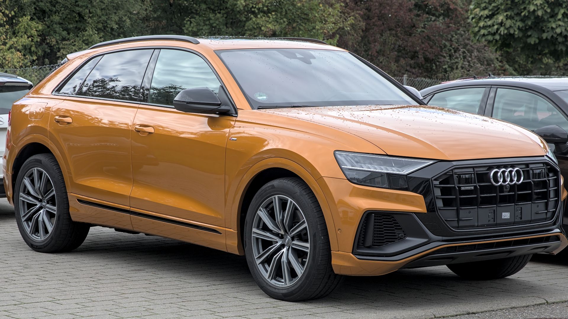 File:Audi Q8 1X7A6004.jpg