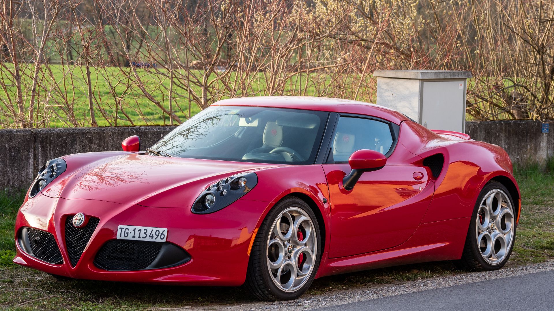 File:Alfa-Romeo 4C am Strassenrand.jpg