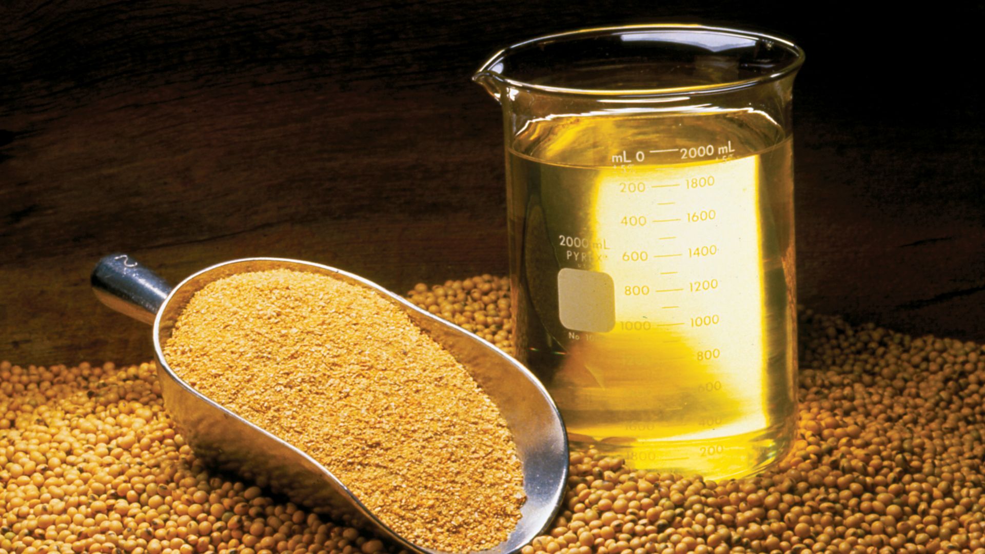 File:Soybean Oil, Meal and Beans (10059732523).jpg