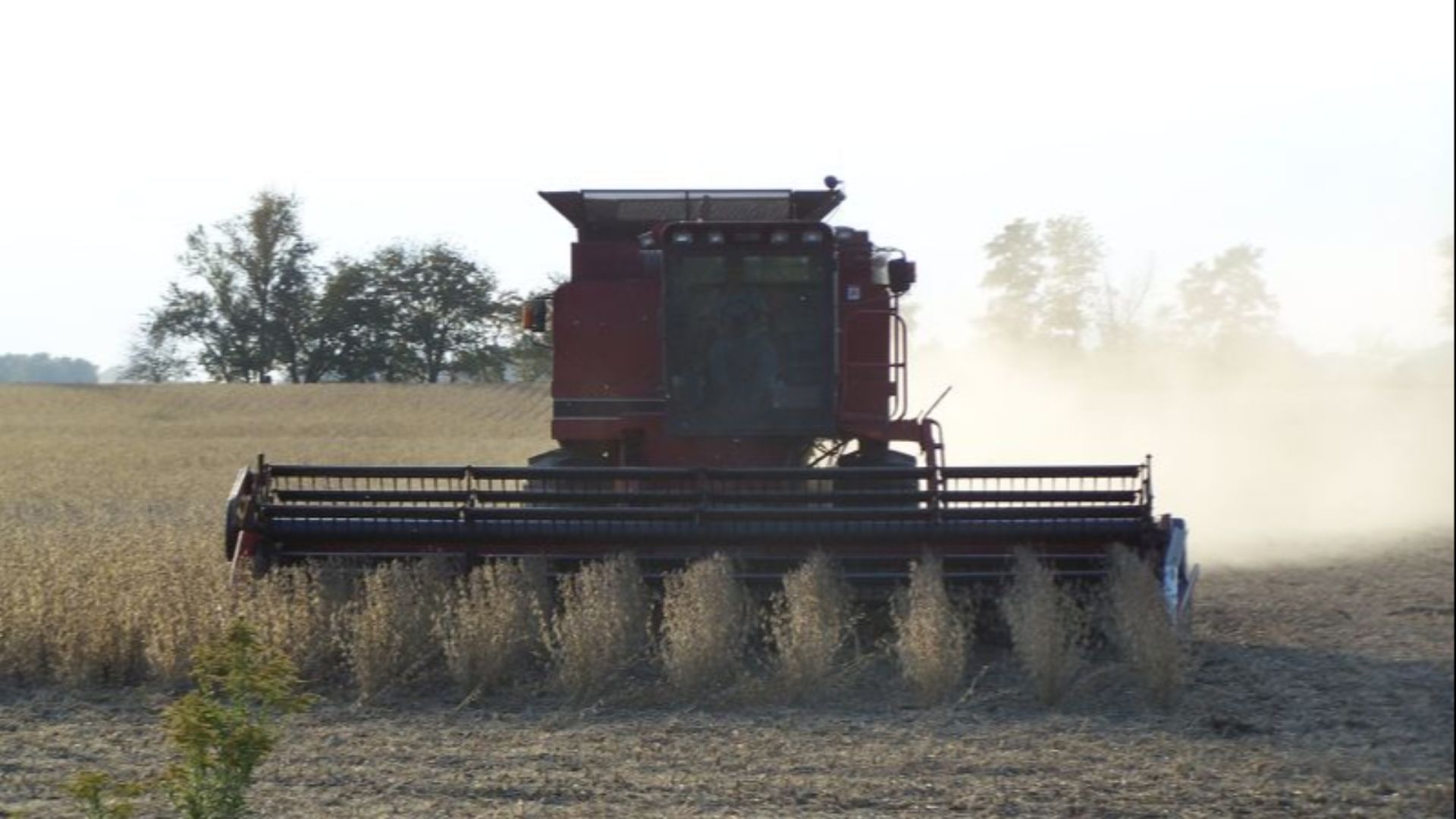 File:Case IH combine harvesting soybeans.jpg
