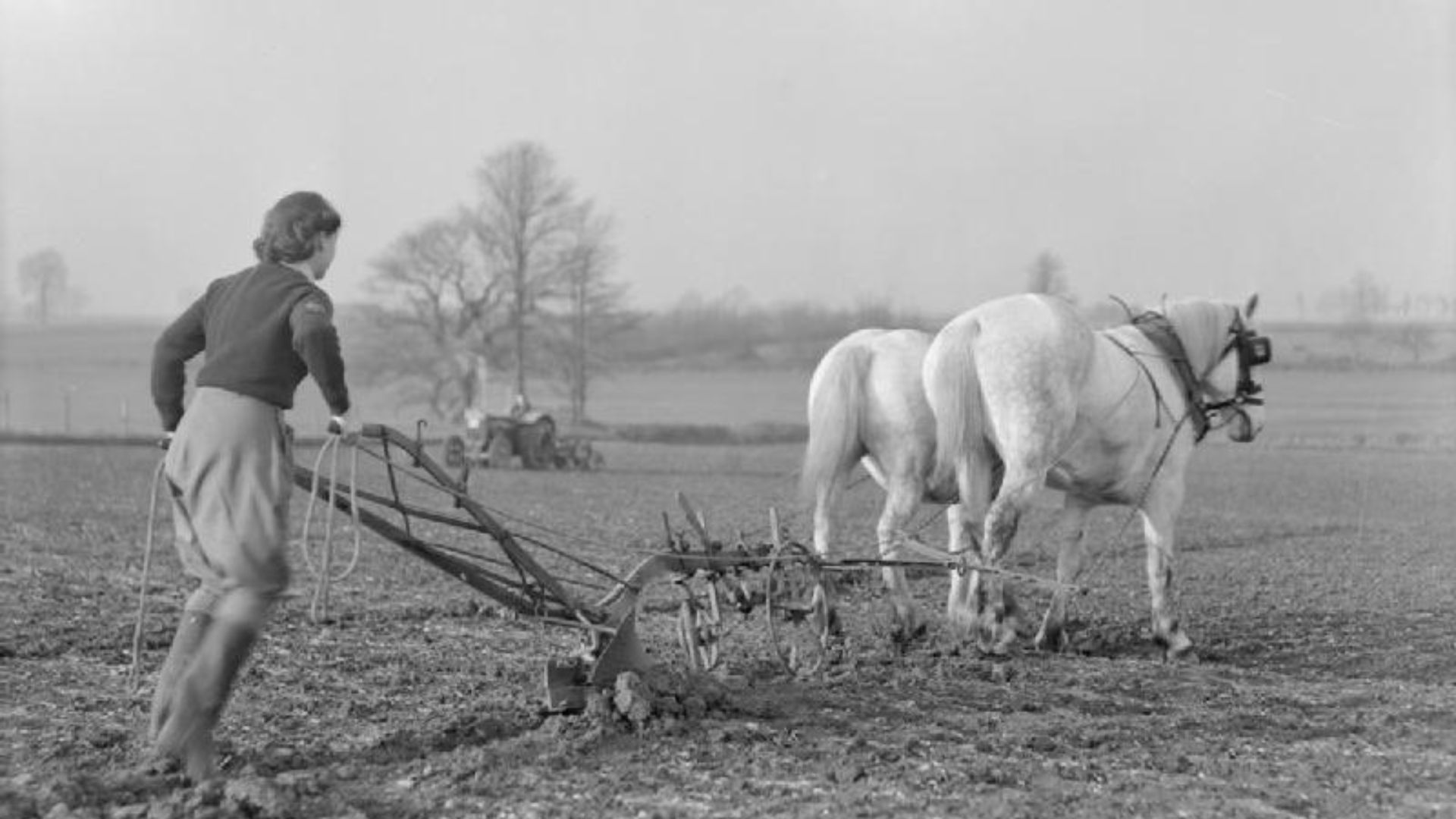 File:Women's Land Army Training at Cannington Farm, Somerset, England, C 1940 D118.jpg