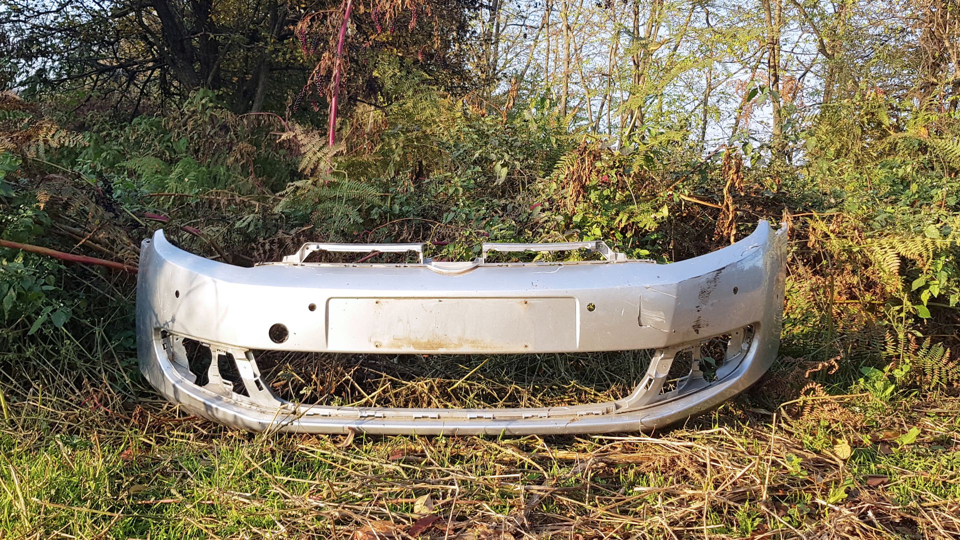 File:Paraurti auto abbandonato nel Parco Alto Milanese - Legnano (MI), Lombardy, Italy - 2020-11-02.jpg