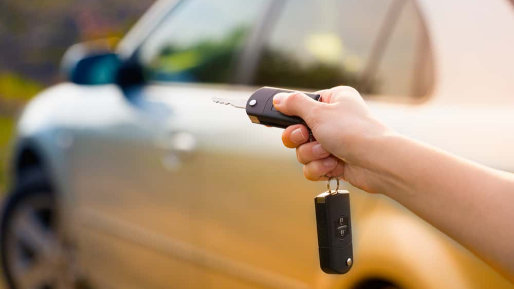 Brains on Autopilot facts