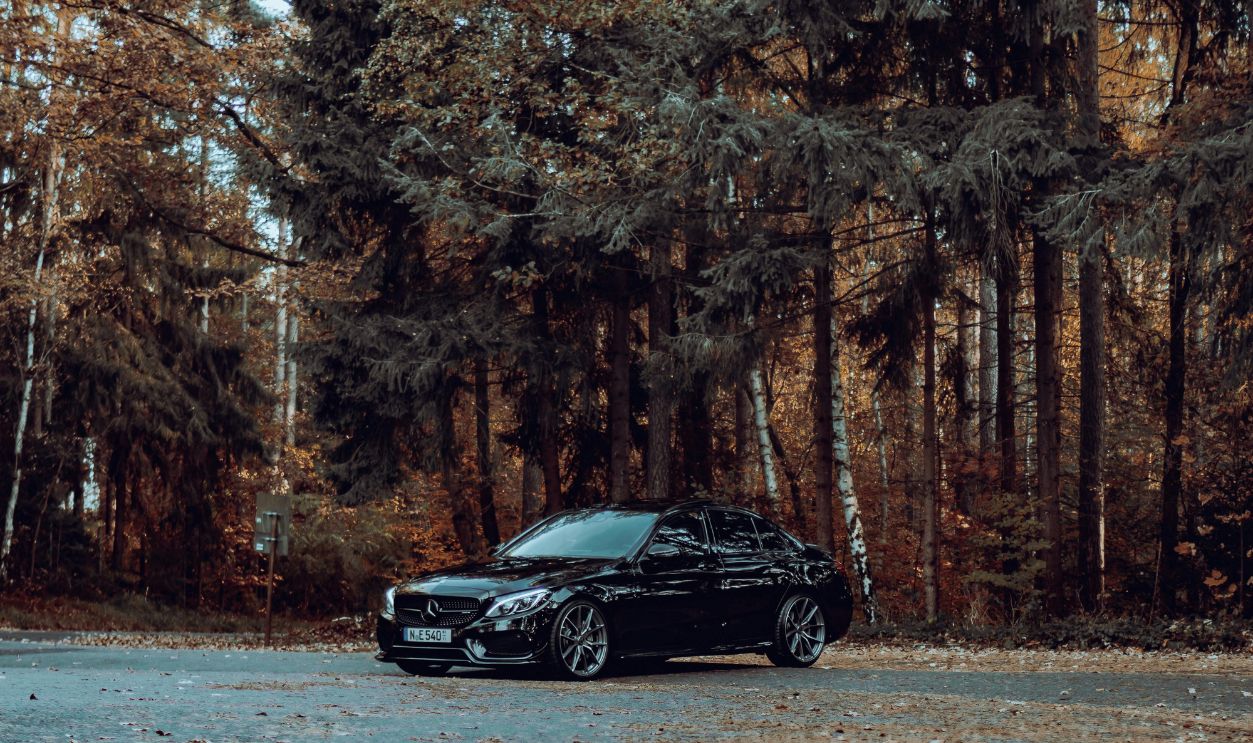 Avoid Parking Under Trees