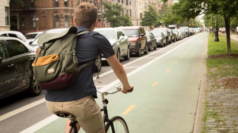 Teacher Excuses facts