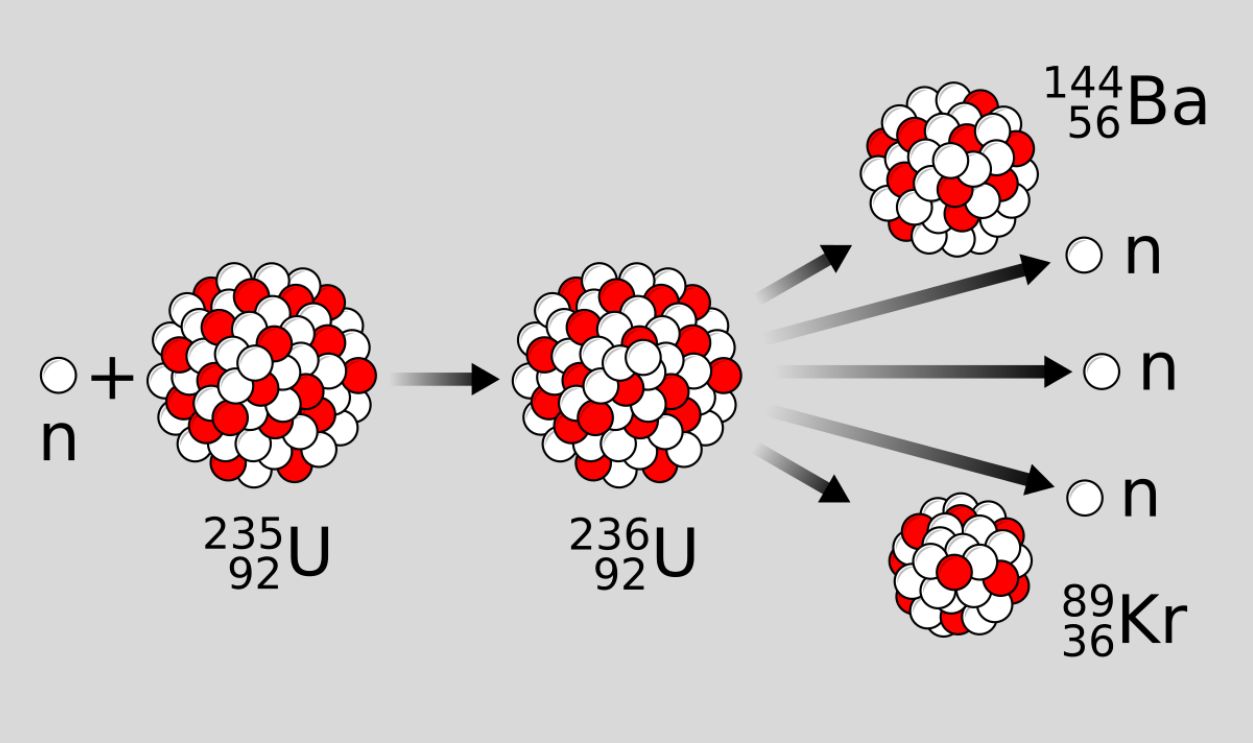 File:Nuclear fission reaction.svg
