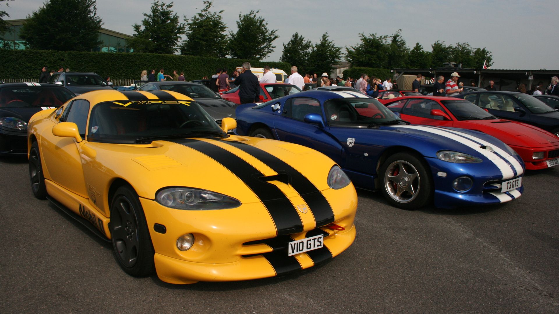 File:Pair of Vipers - Flickr - Supermac1961.jpg