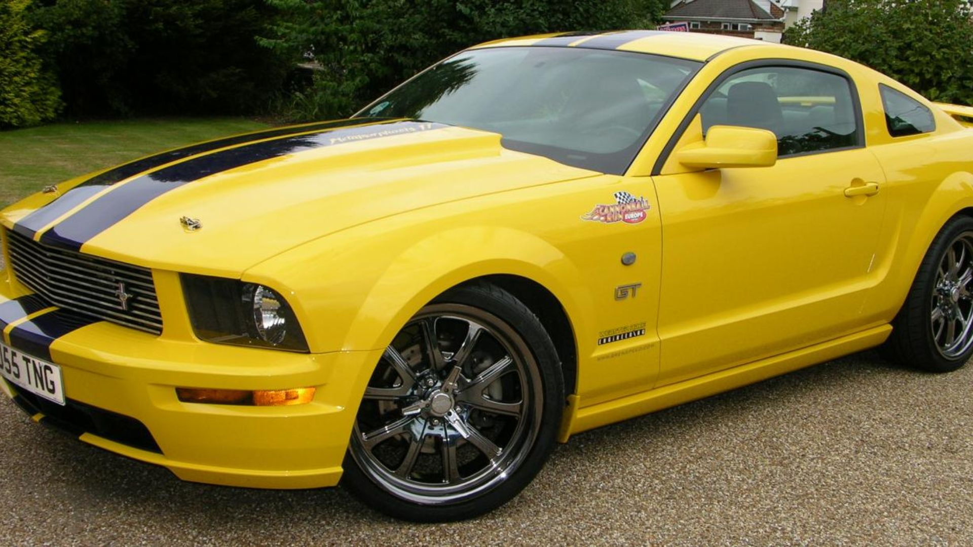 File:2005 Ford Mustang GT Supercharged - Flickr - The Car Spy (8).jpg