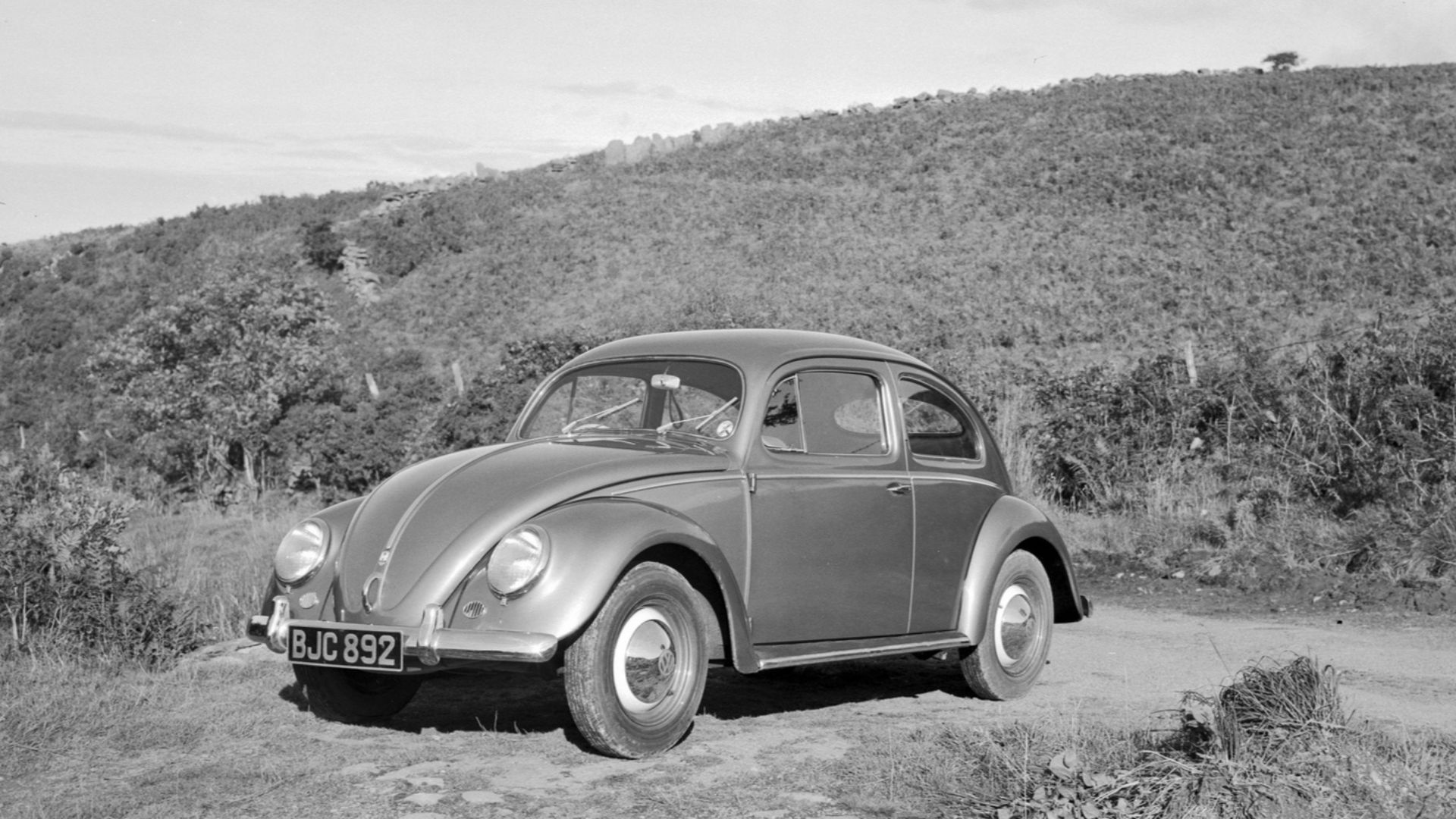 File:Volkswagen Beetle (1510368).jpg