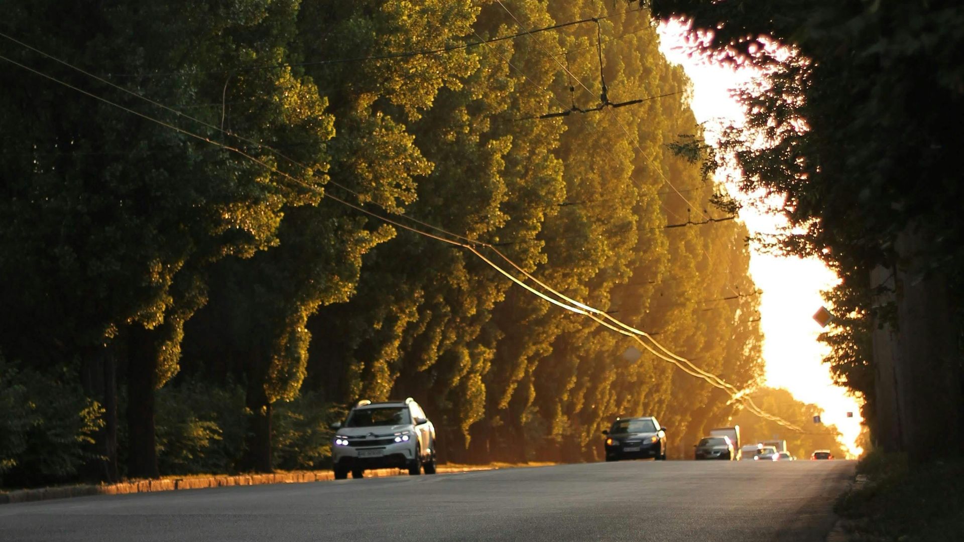 Kompaniiets Viktoriia