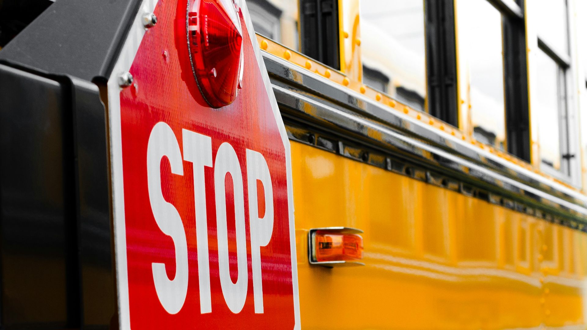 yellow and red bus in a city