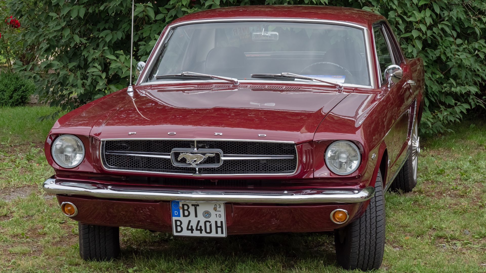 File:Ford Mustang Kulmbach 2018 6170295.jpg